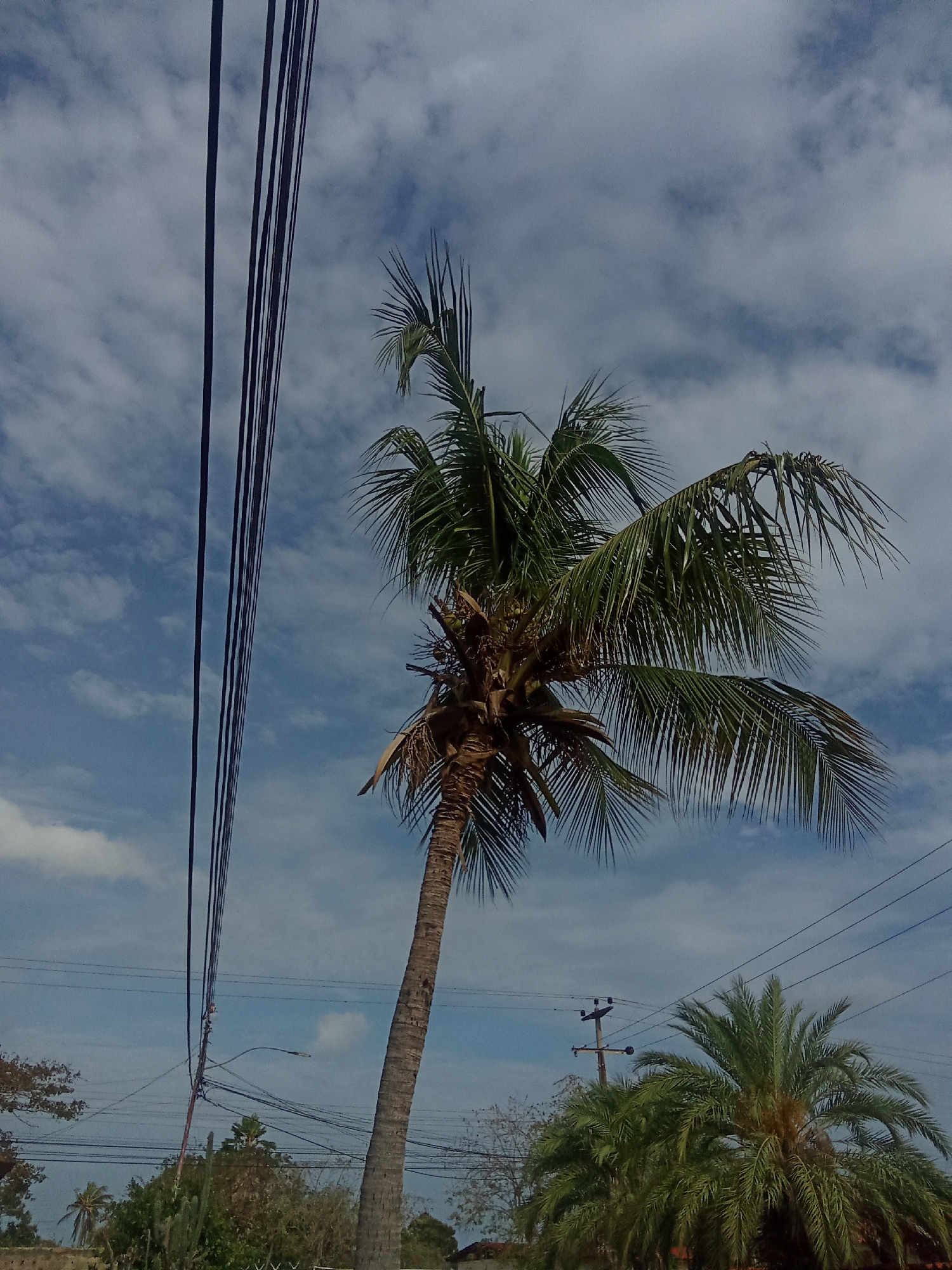 Witness captures everyday scenes around Juan Griego, Venezuela