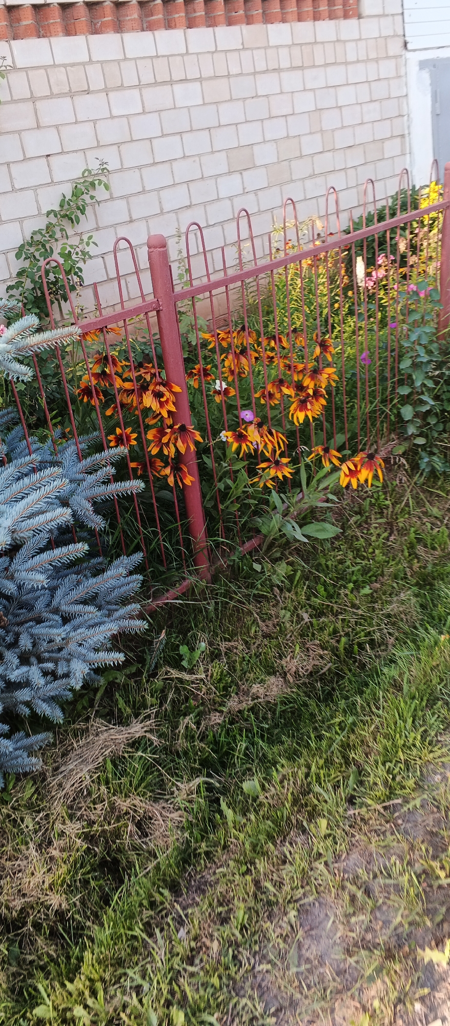 Summer afternoon in an Izhevsk neighborhood, gardens and all