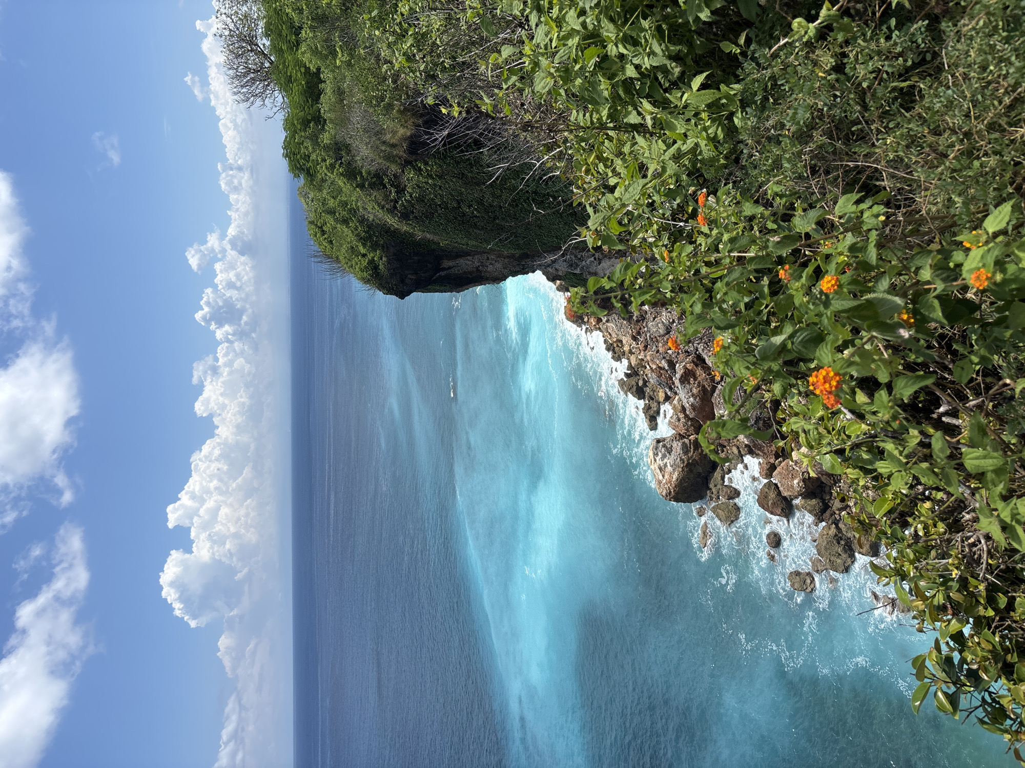 Stone pathway through wooded area captured in Uluwatu