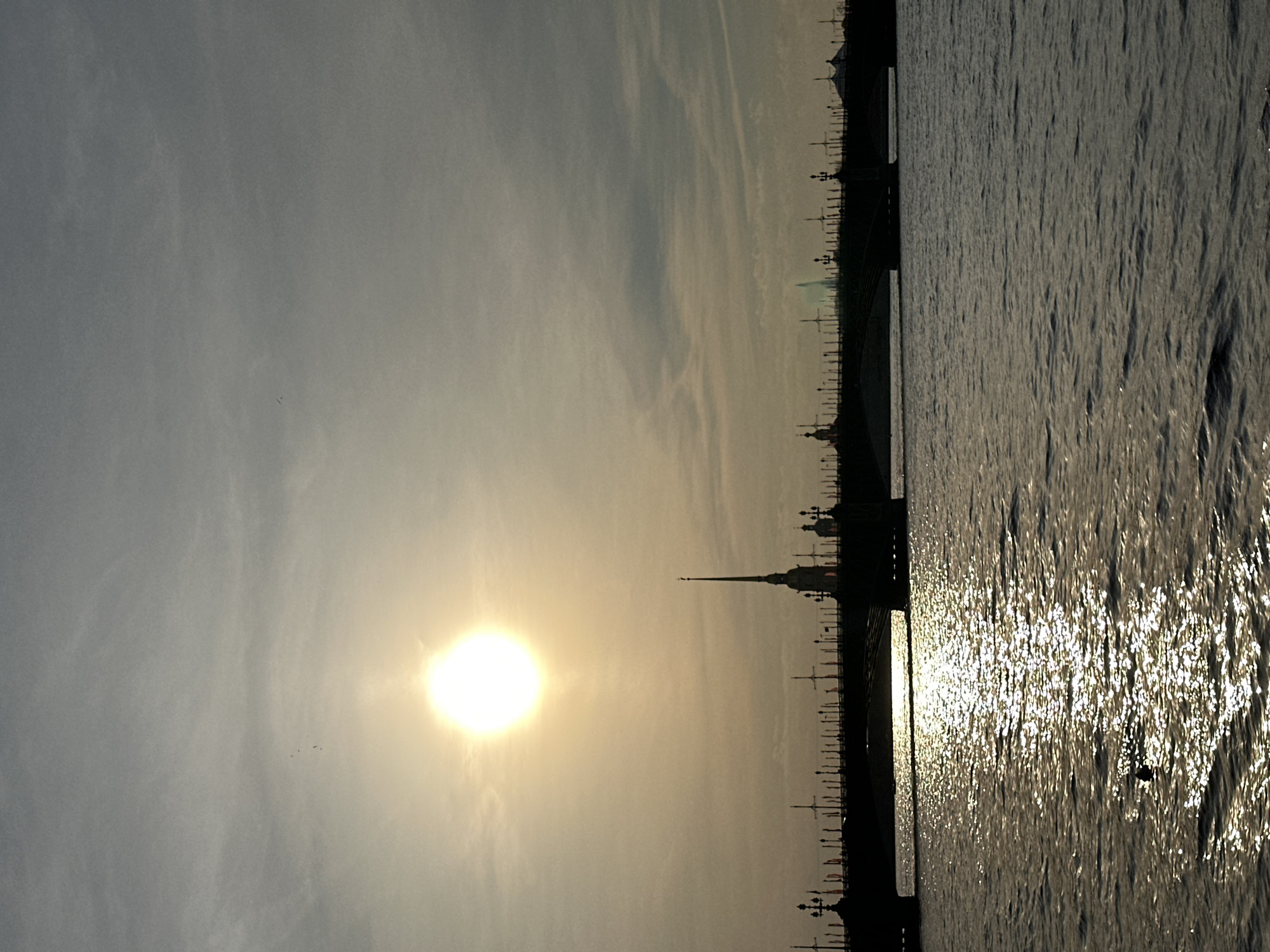 Birds rest on Neva River buoy near Petersburg skyline