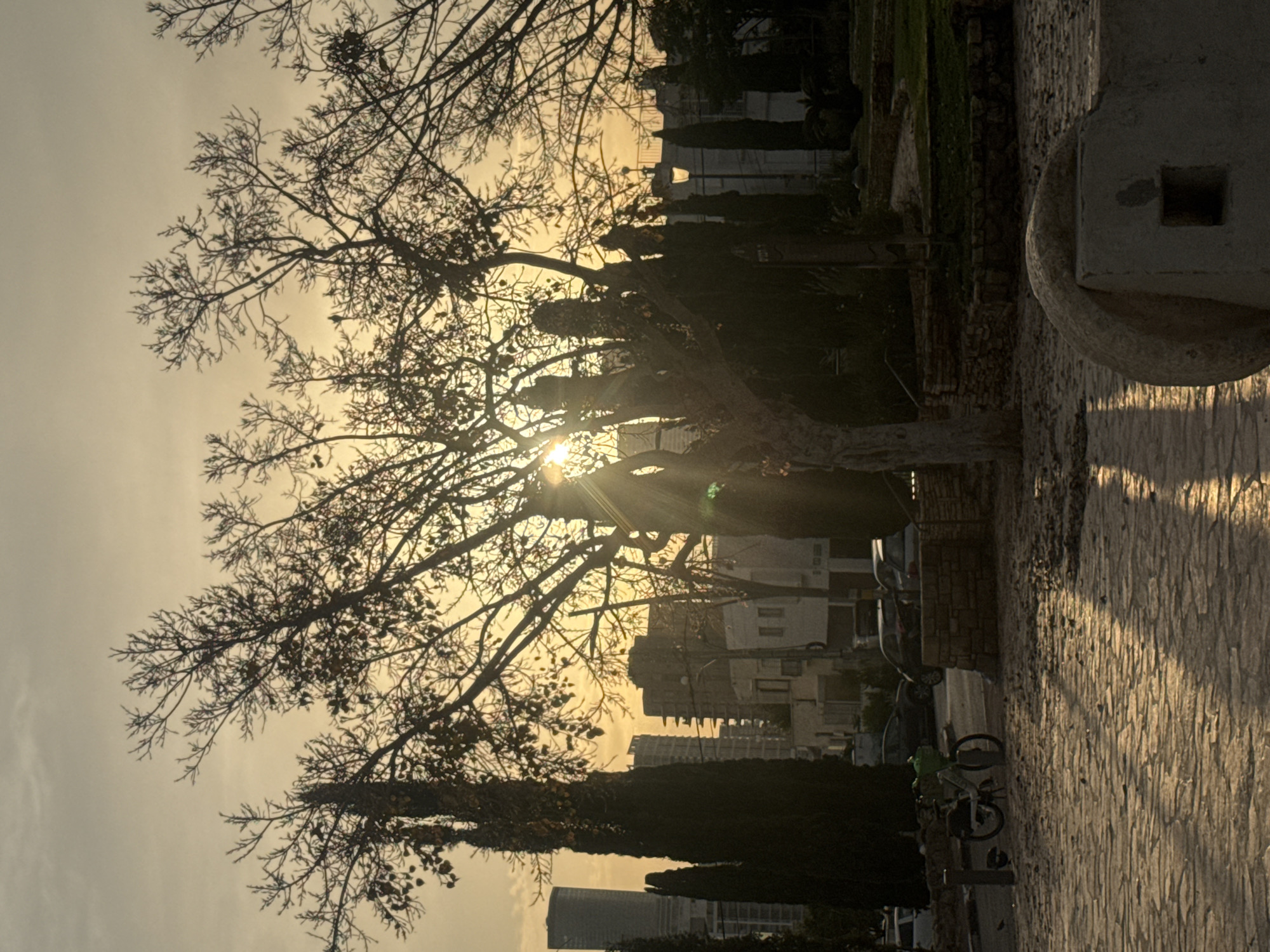 Golden hour scenes and wildlife captured across Ramat Gan
