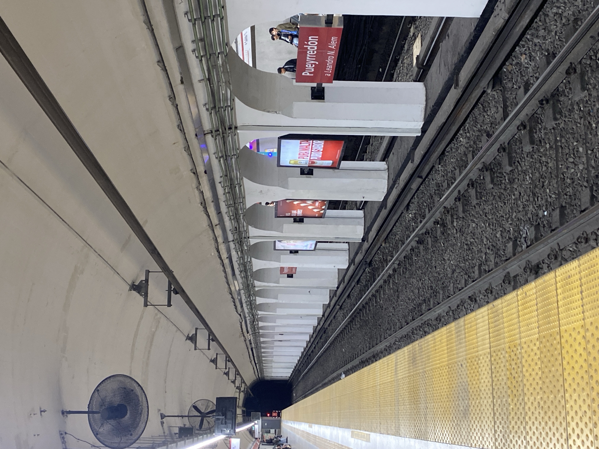Buenos Aires subway station documented during evening commute