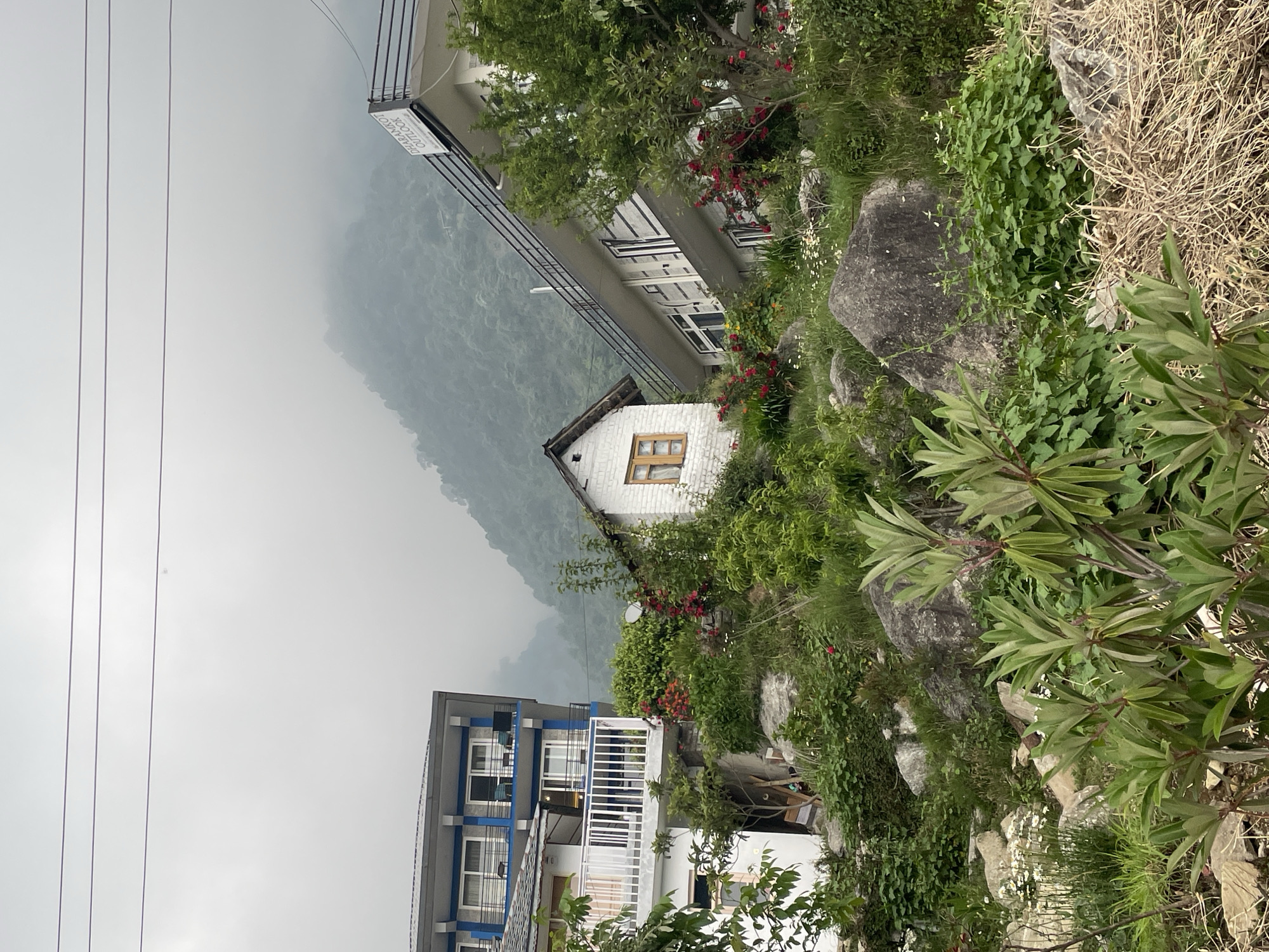Elderly goat herder walks misty mountain road in Haini