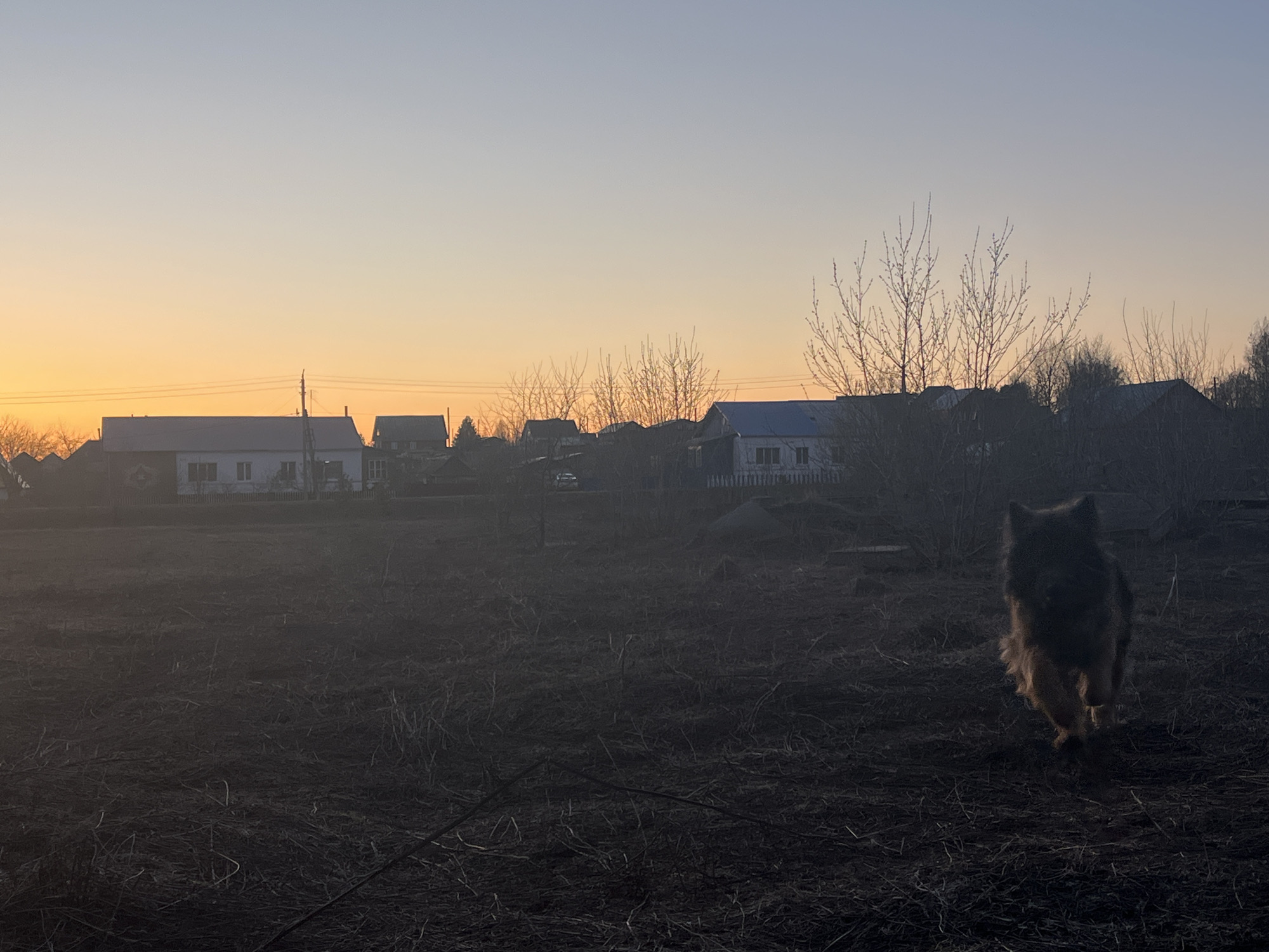 Rural scenes captured in Pavlovka: dog, Orthodox church