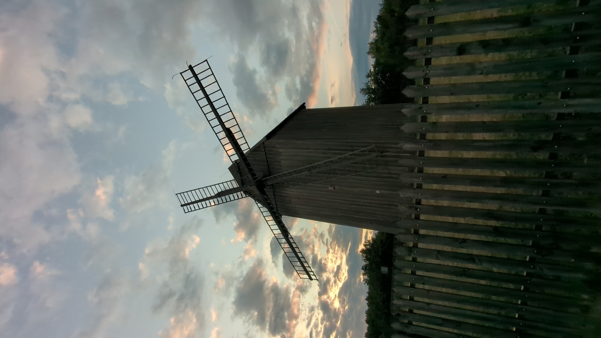 Weathered windmill and cornfields at golden hour