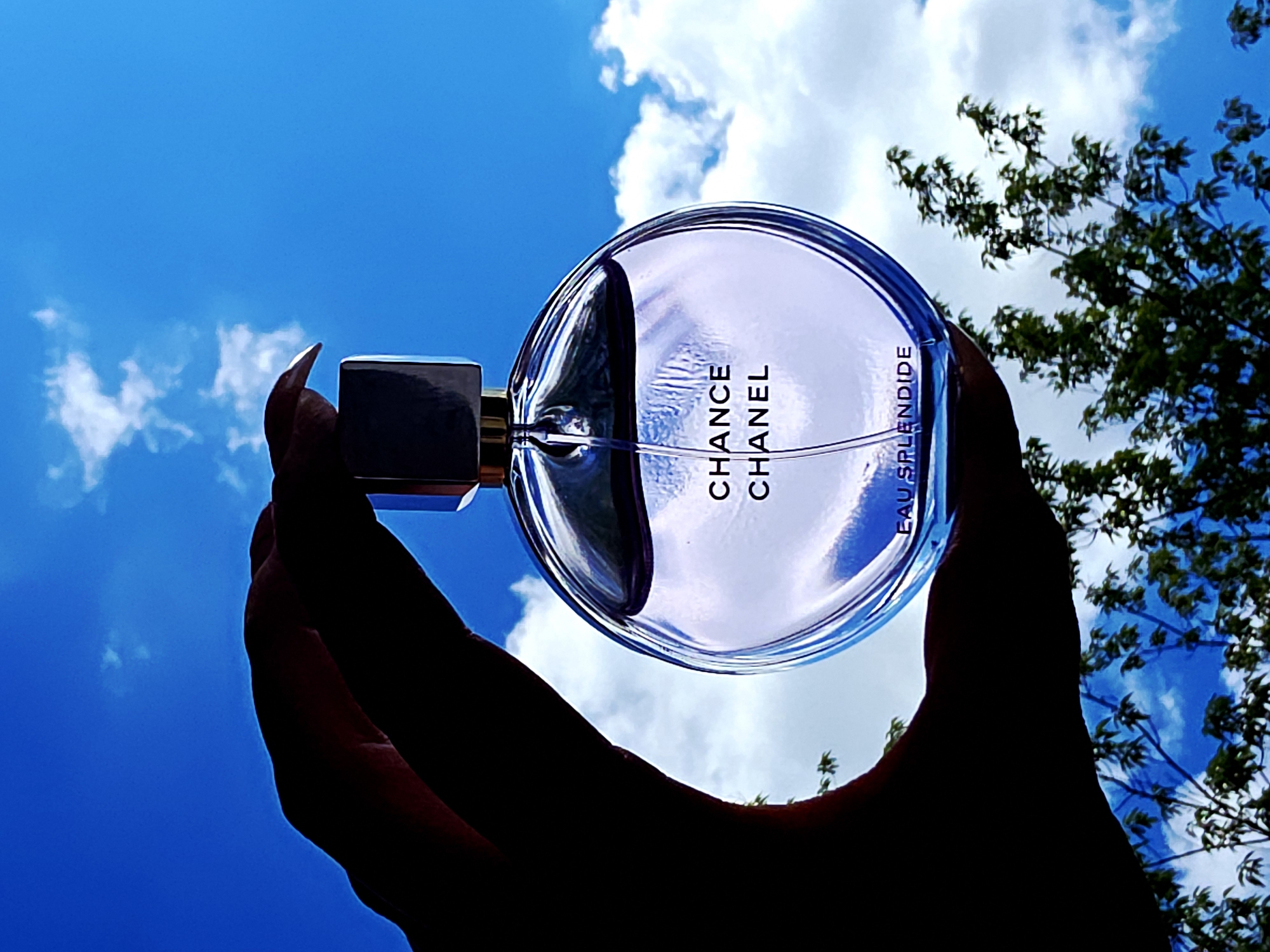 Witnesses document skyward moment with hands, objects against blue sky