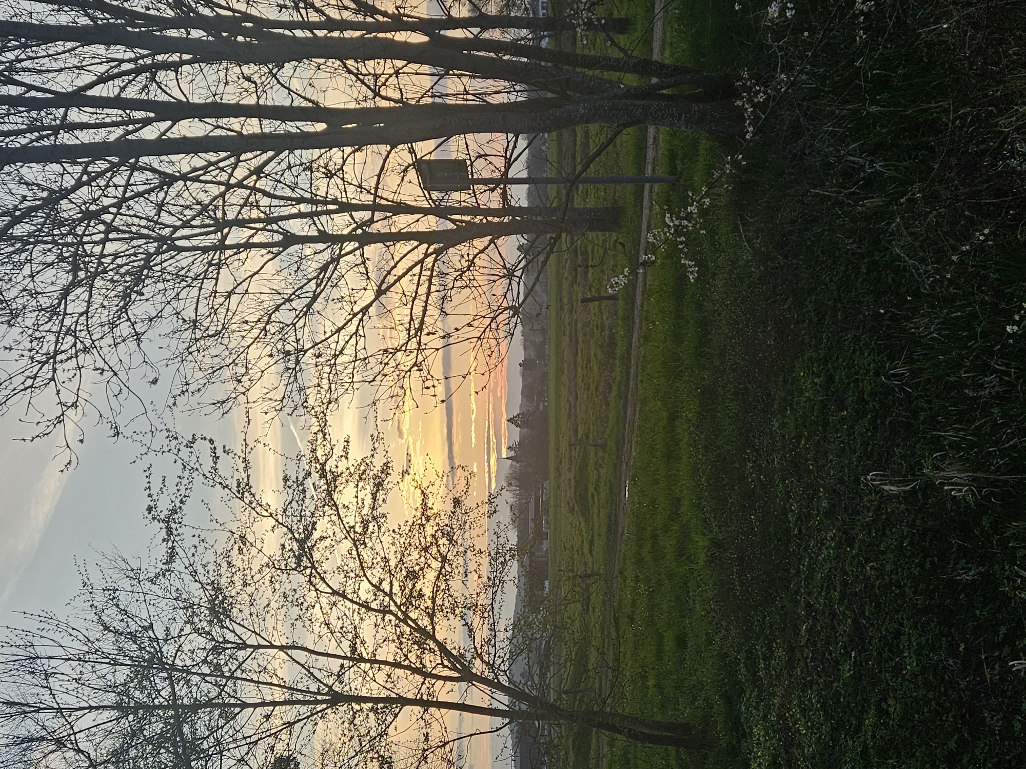 Fishing setup captures sunset scene along Gavisse riverbank