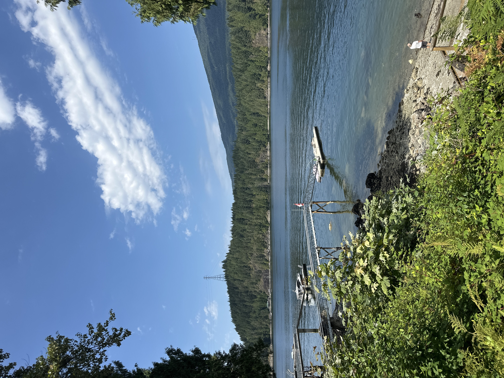 Quiet lakeside afternoon in Belcarra's green surroundings