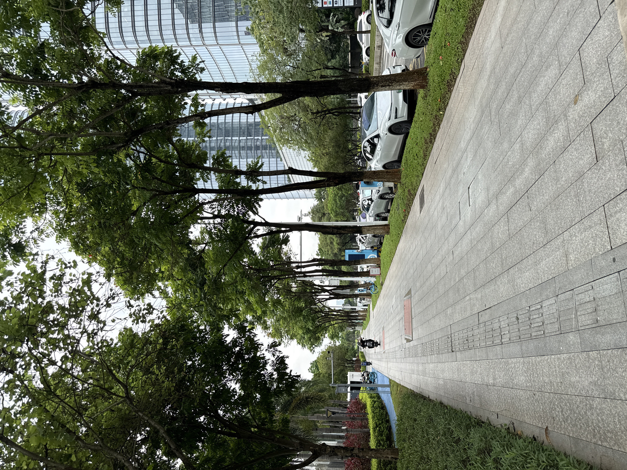 Haizhu District riverfront promenade and streets on a cloudy morning