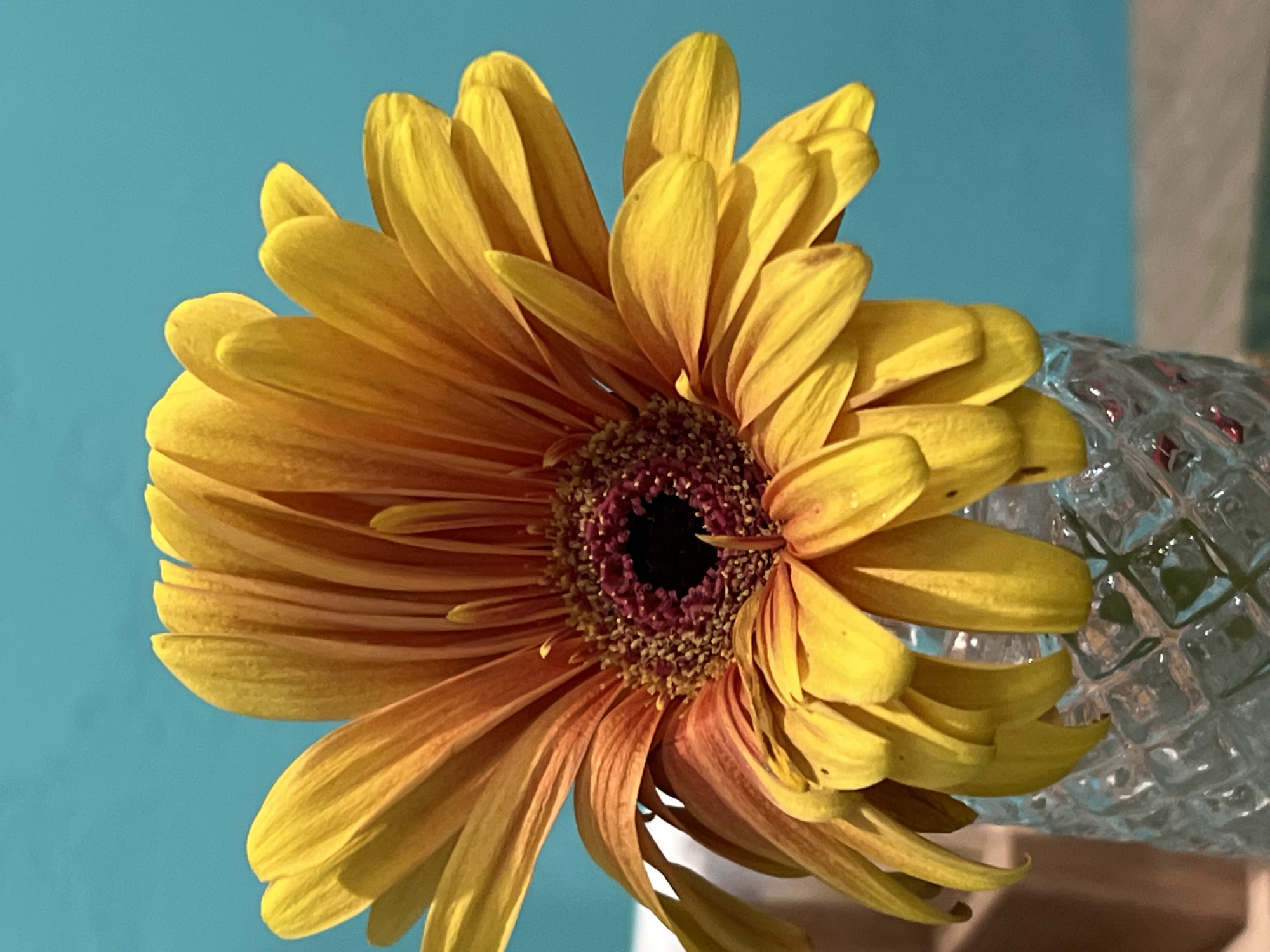 Family lunch at turquoise-walled Moscow restaurant with floral arrangements