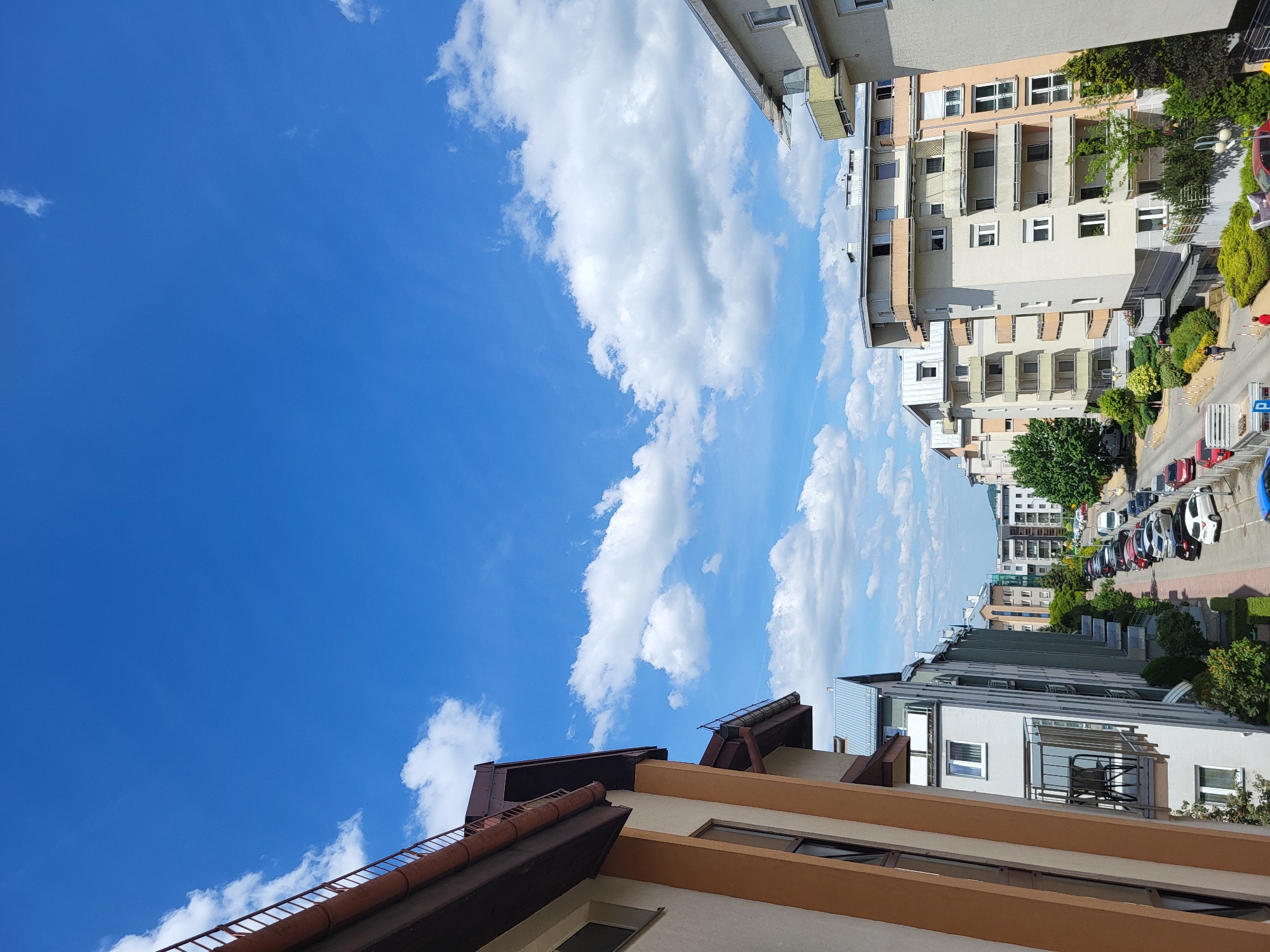 Morning memories: urban skies and cat belly rubs