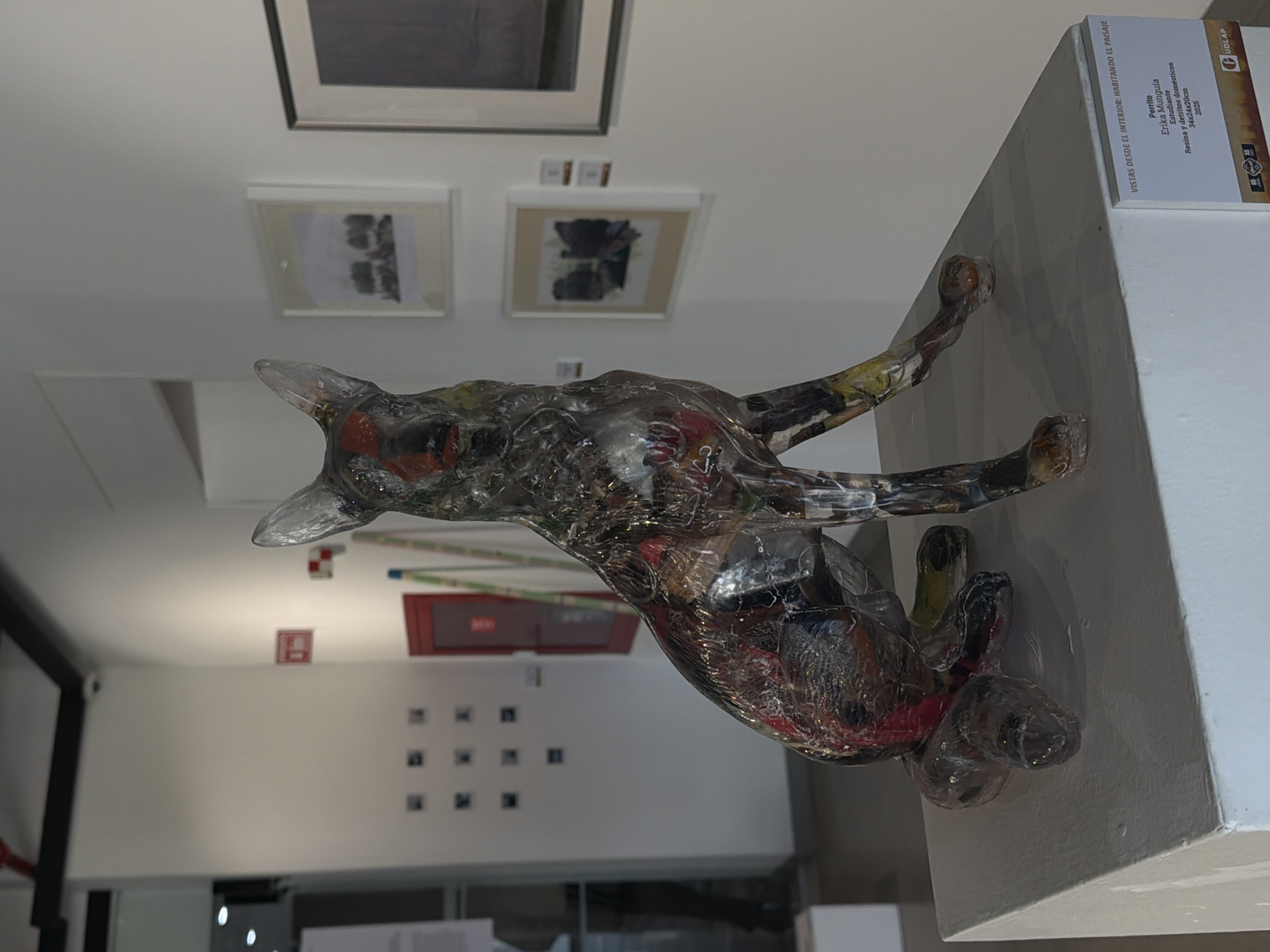 Contemporary art exhibition documented featuring mixed-media sculptures and photography