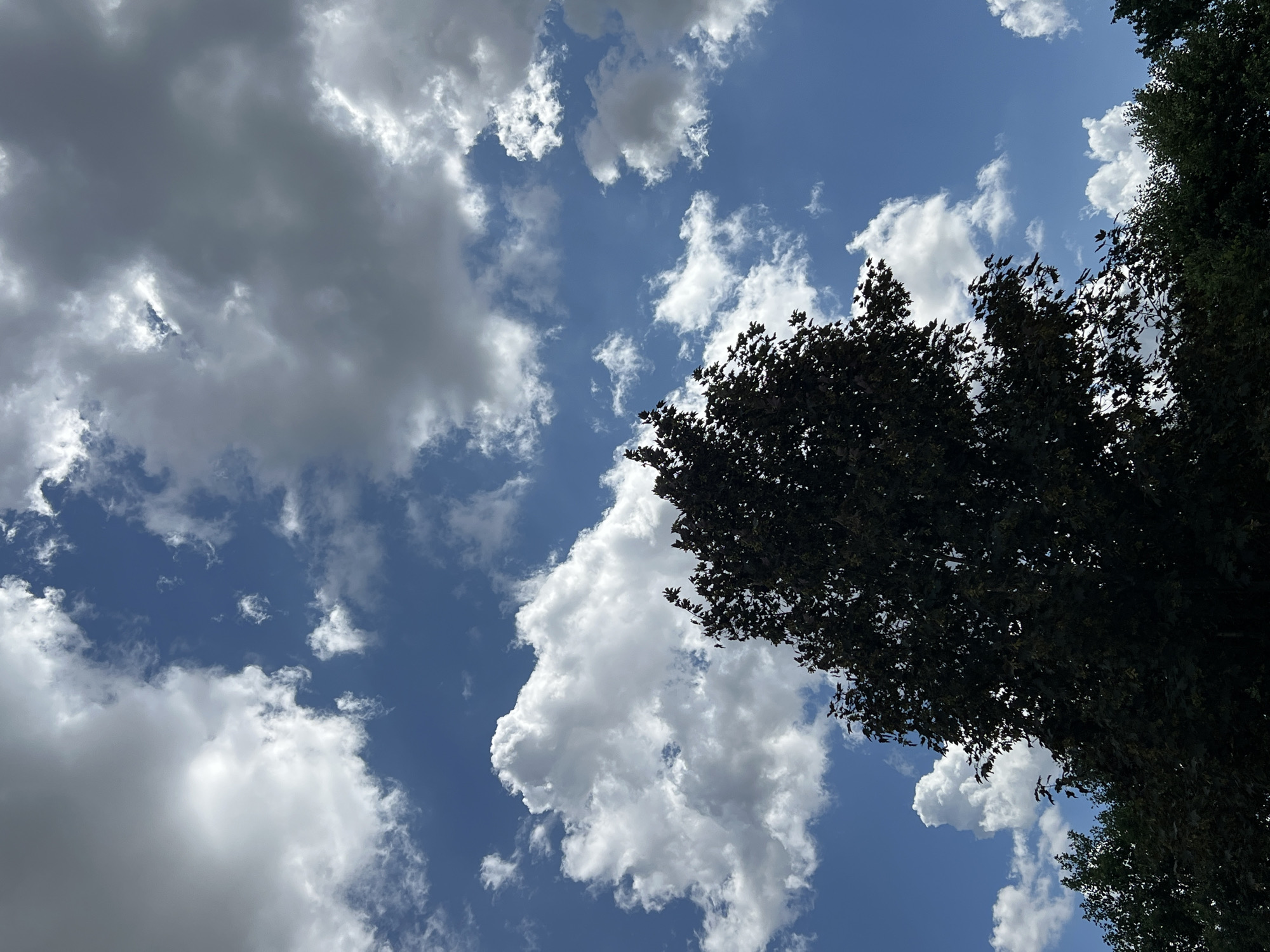 Summer afternoon skies, backyard scenes, and random household snapshots