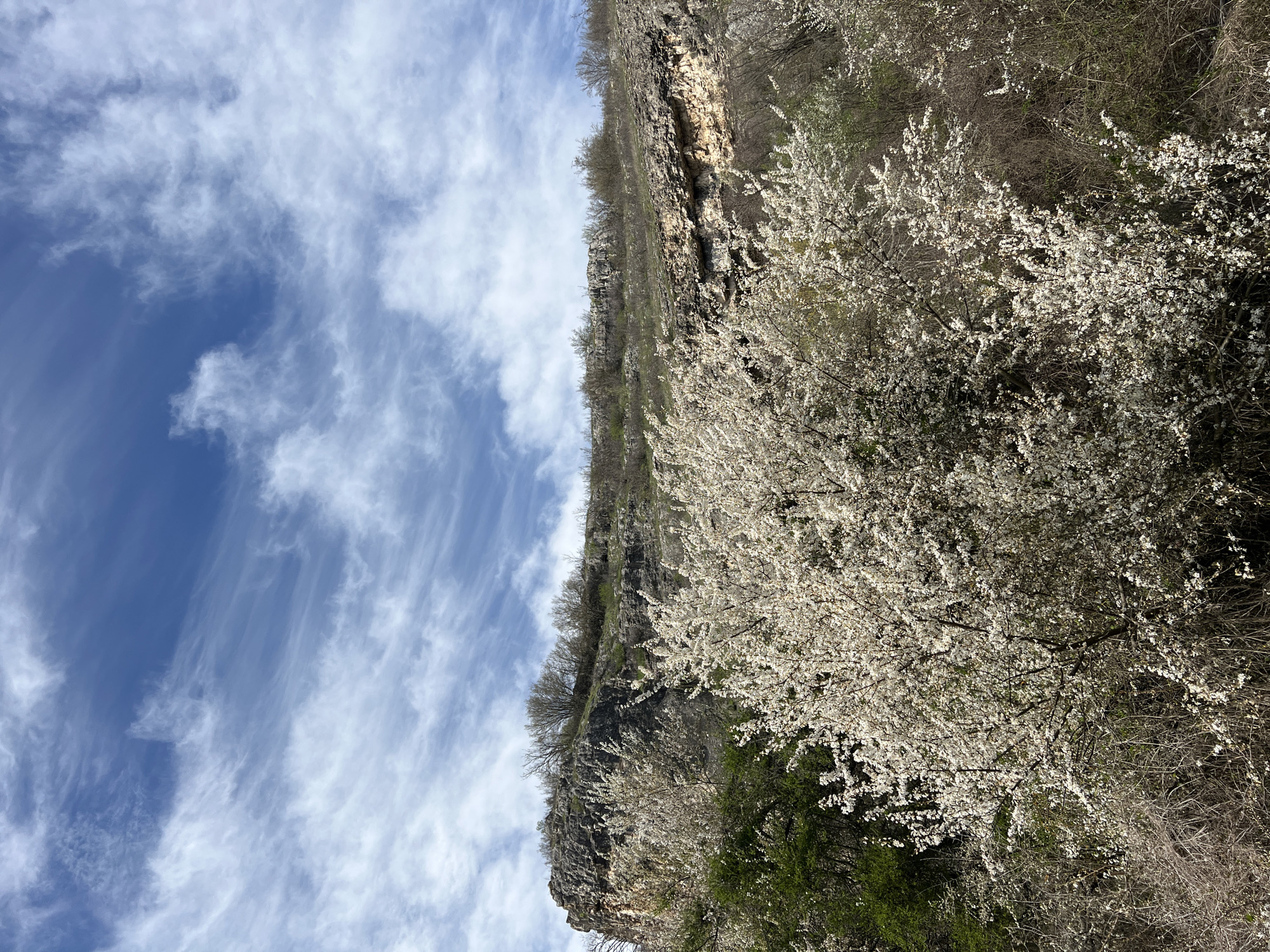 Spring day captured near Gortalovo cliffs and wildflower fields