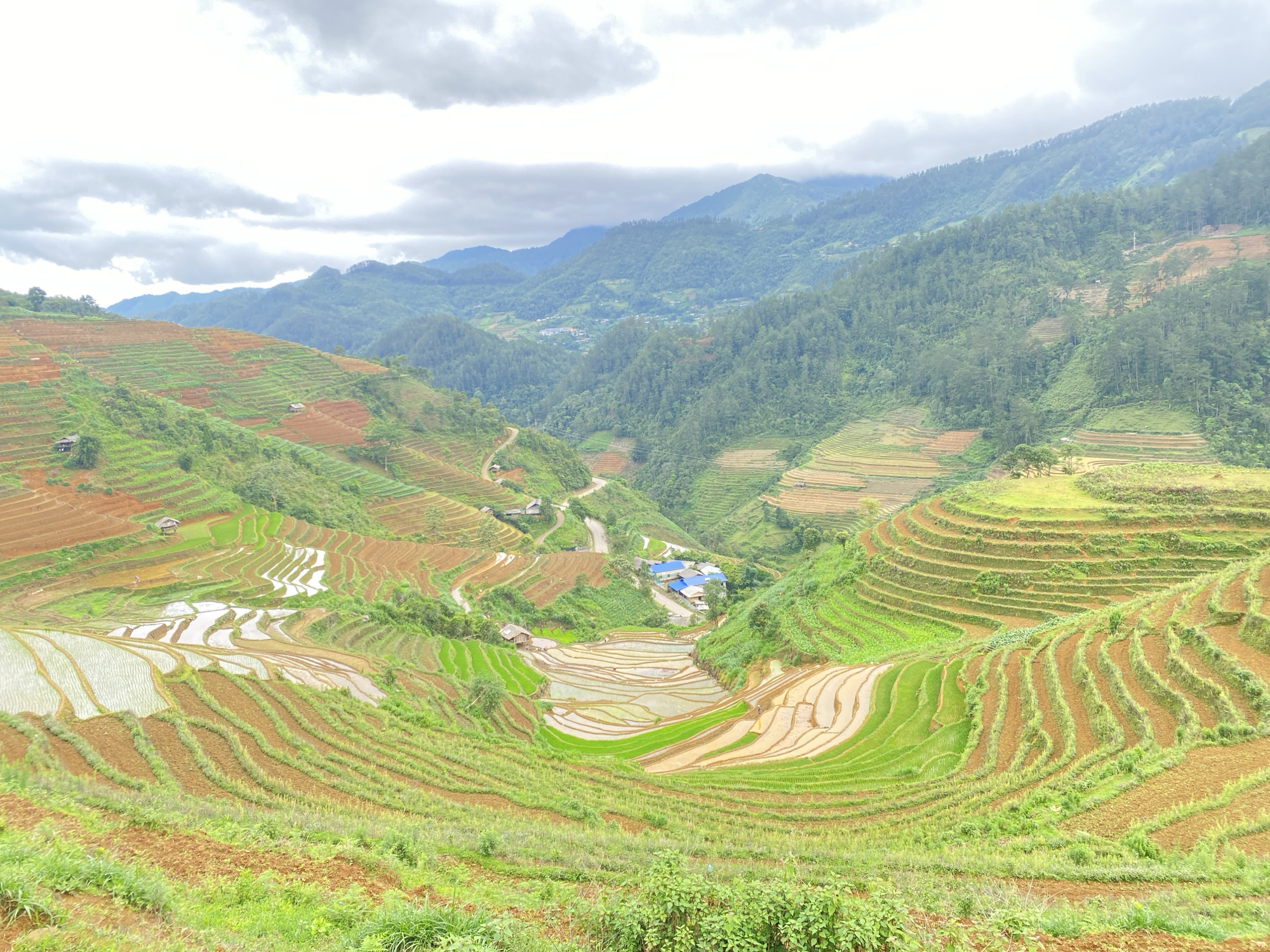 Terraced rice fields documented under overcast skies in rural Vietnam