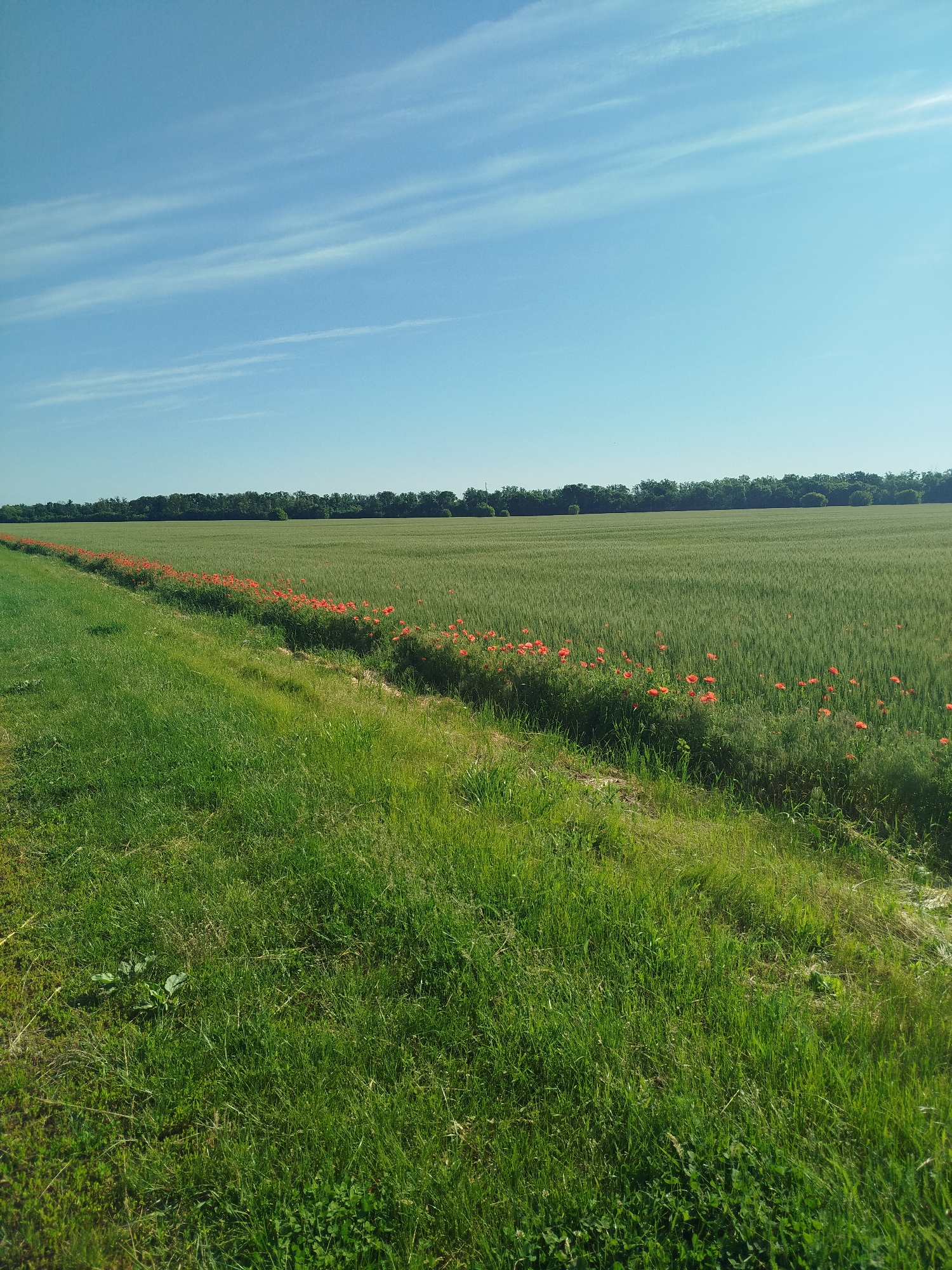 Rural Ukrainian countryside documented in peaceful morning scenes