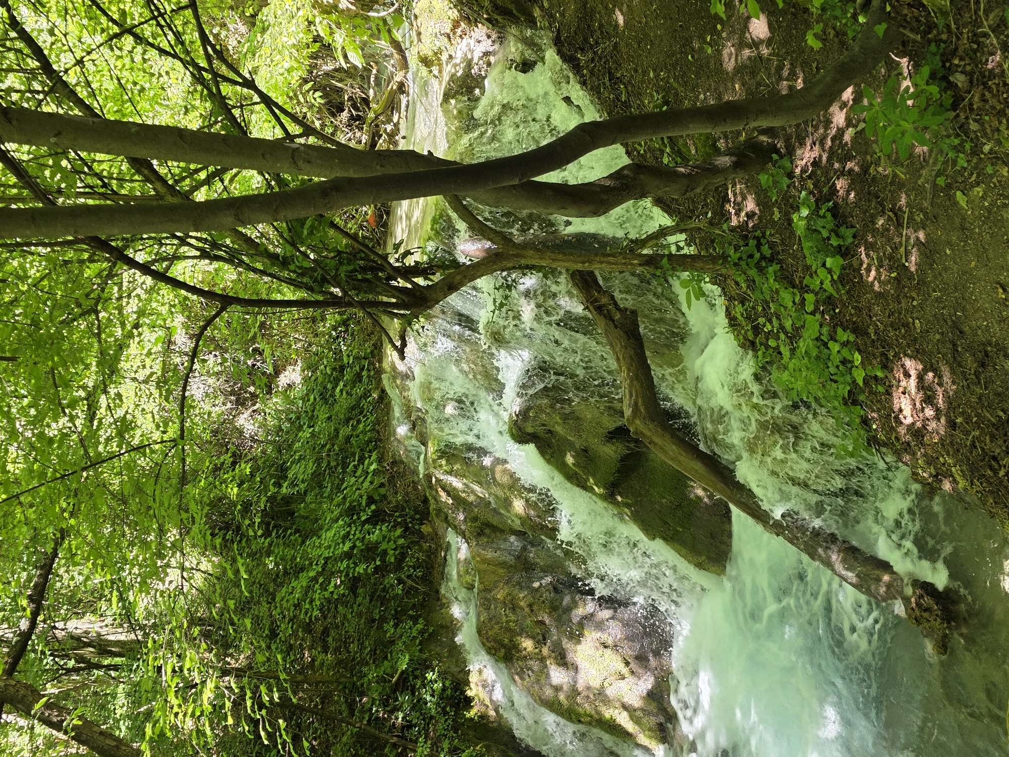 Hiker documents waterfalls and forest trails near Bachkovo, Bulgaria