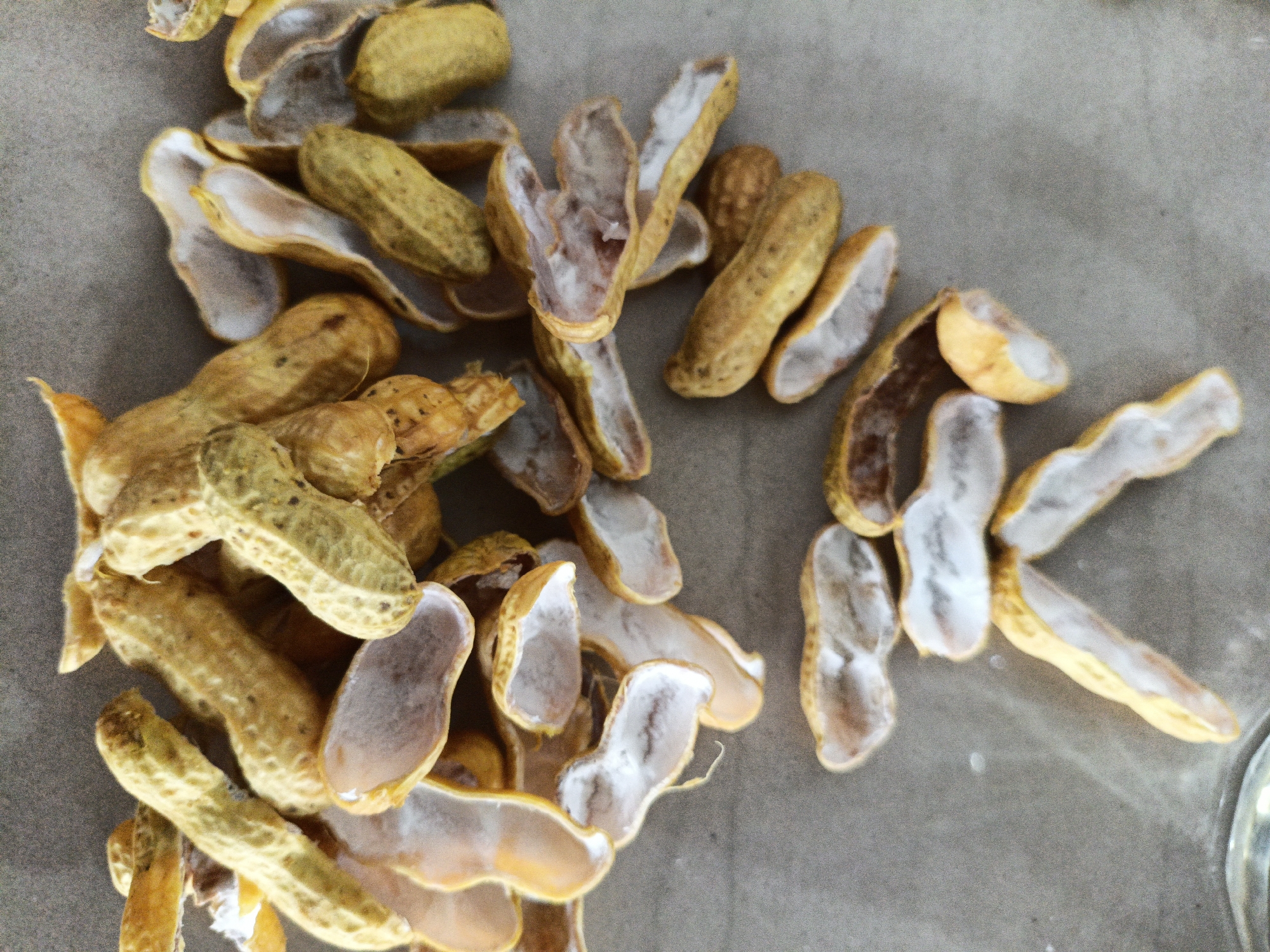 Peanut shells scattered on a textured surface in Indonesia