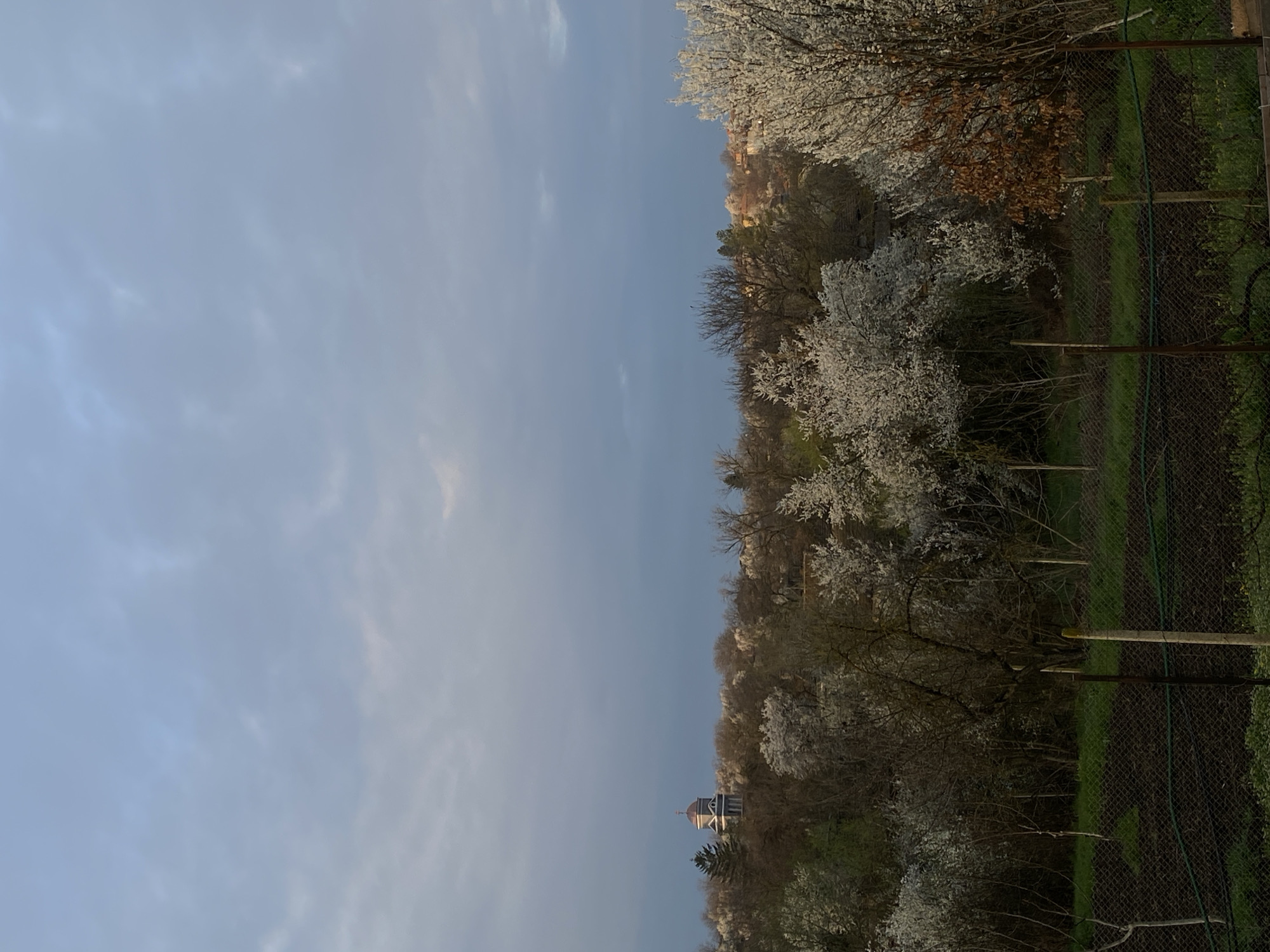 Spring blooms captured in Dobri dial, Bulgaria