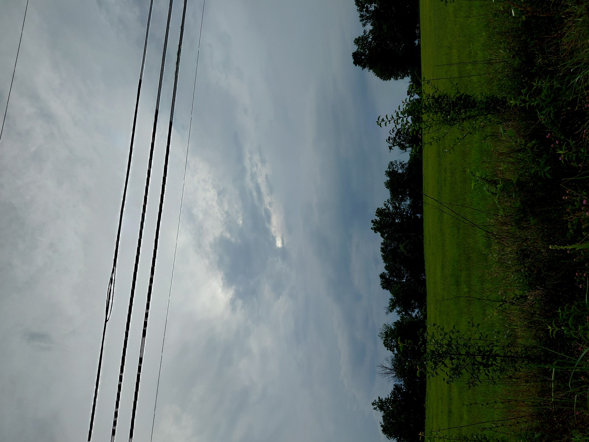 Green field and power lines under a cloudy Kentucky sky