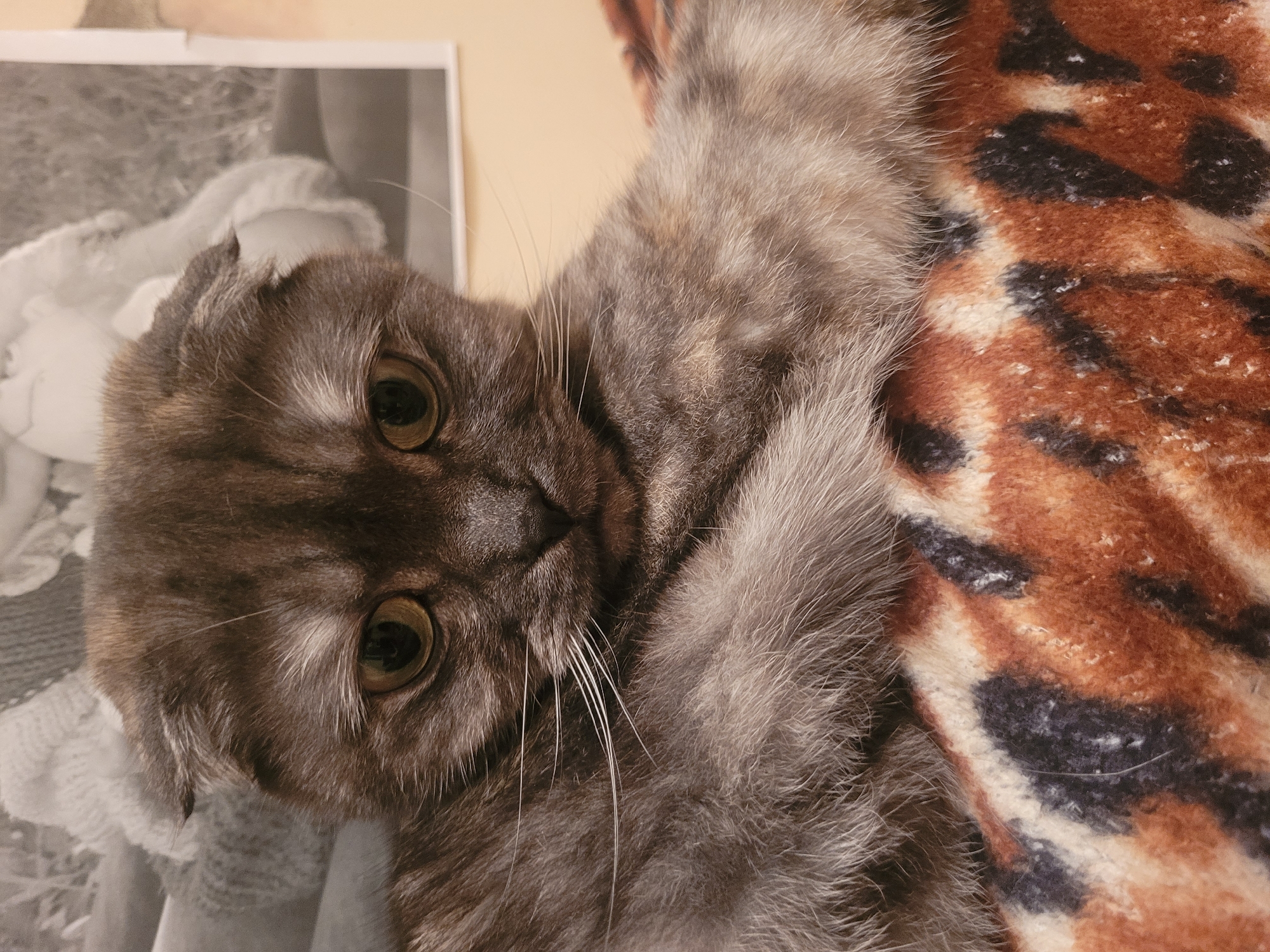 Everyday home moments documented across Izhevsk, Russia
