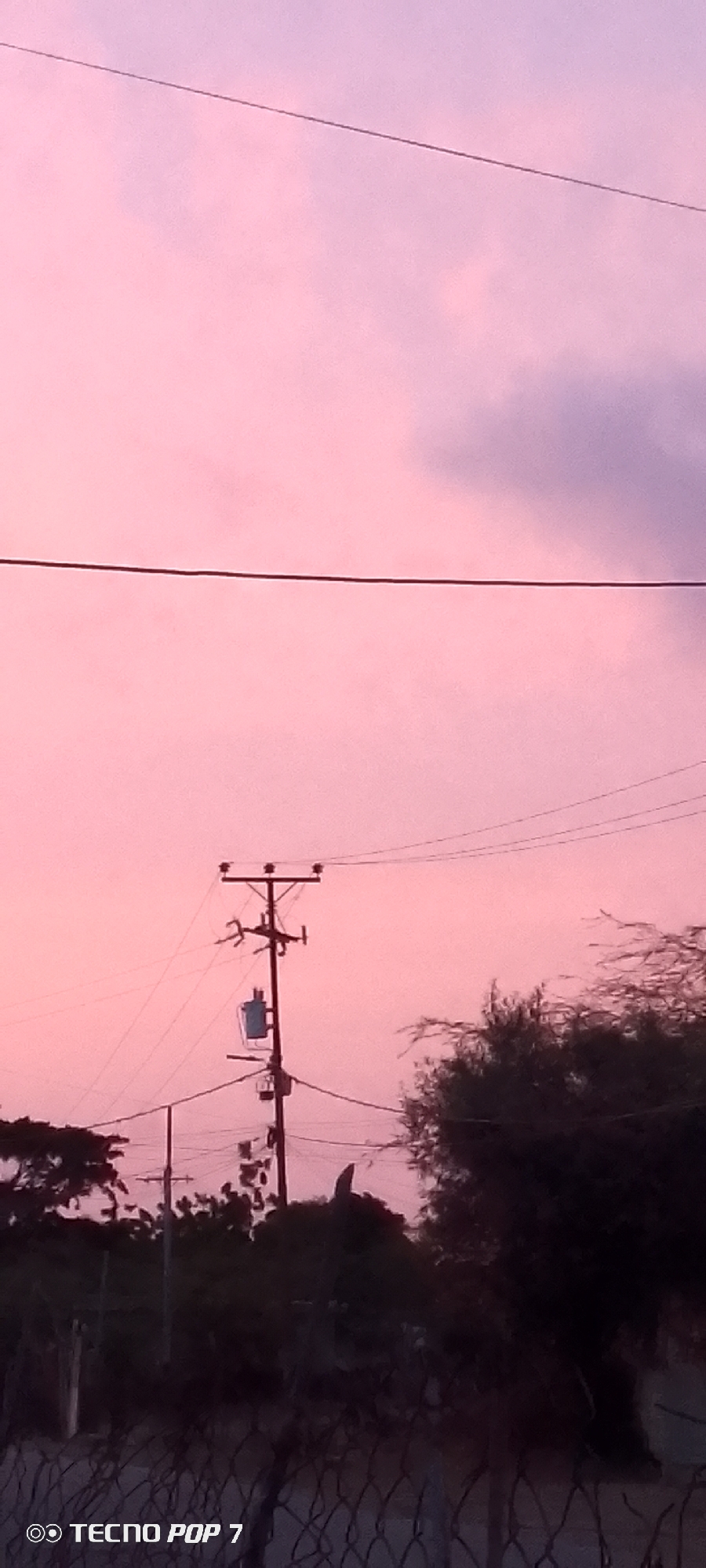 Twilight settles over Altagracia, one deer sighting included