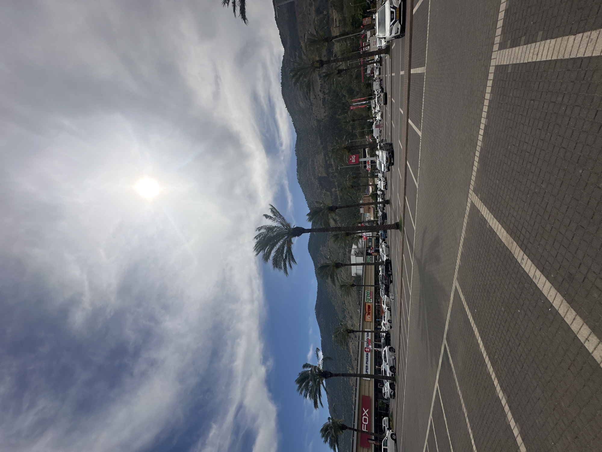 Parking lot with cars, palm trees observed in northern Israel