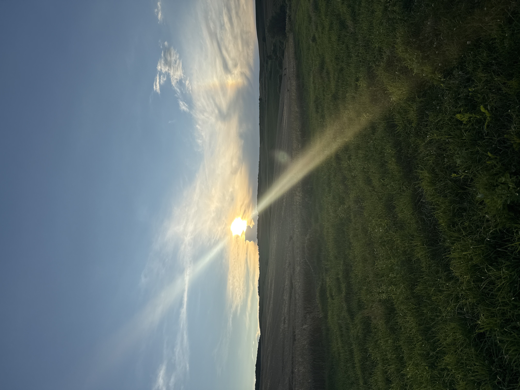Golden hour to dusk across open farmland and crop fields