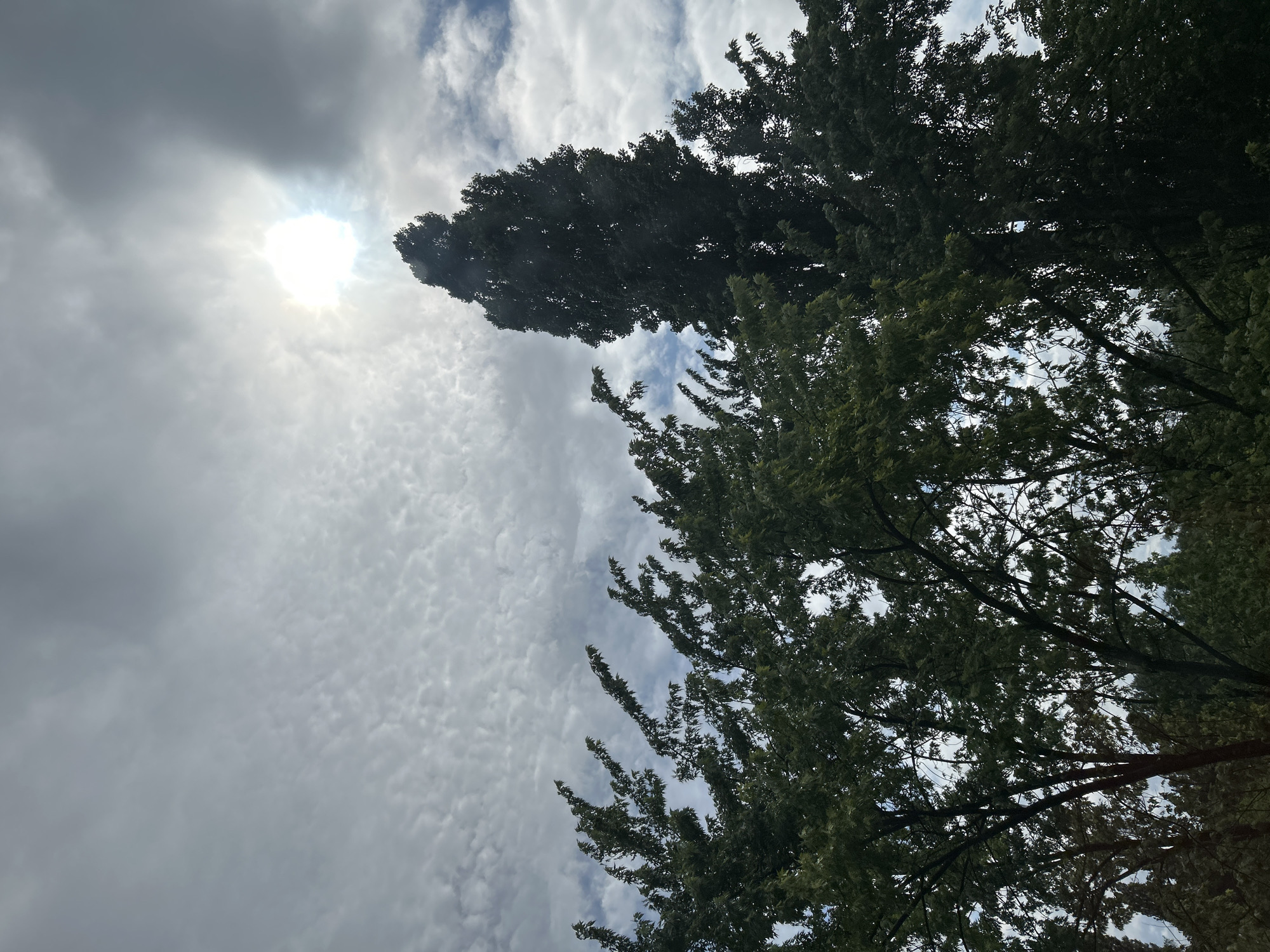 Morning snapshots around Kremenchuk: skies, household items, and LEGO collections
