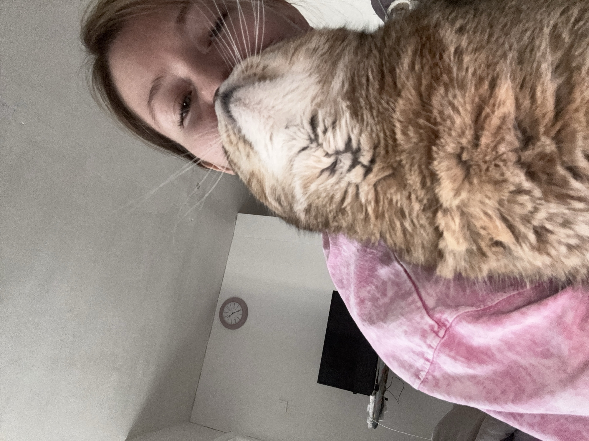 Woman shares tender moment with tabby cat in Russia