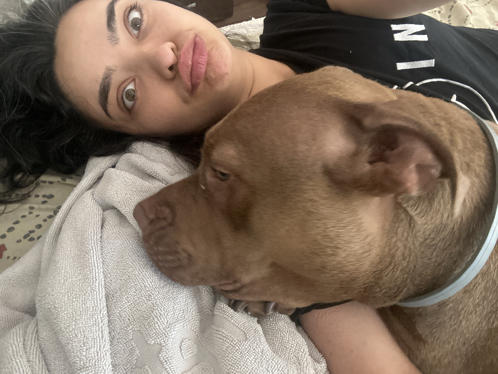 Lazy morning selfies with a brown pit bull in Malevo
