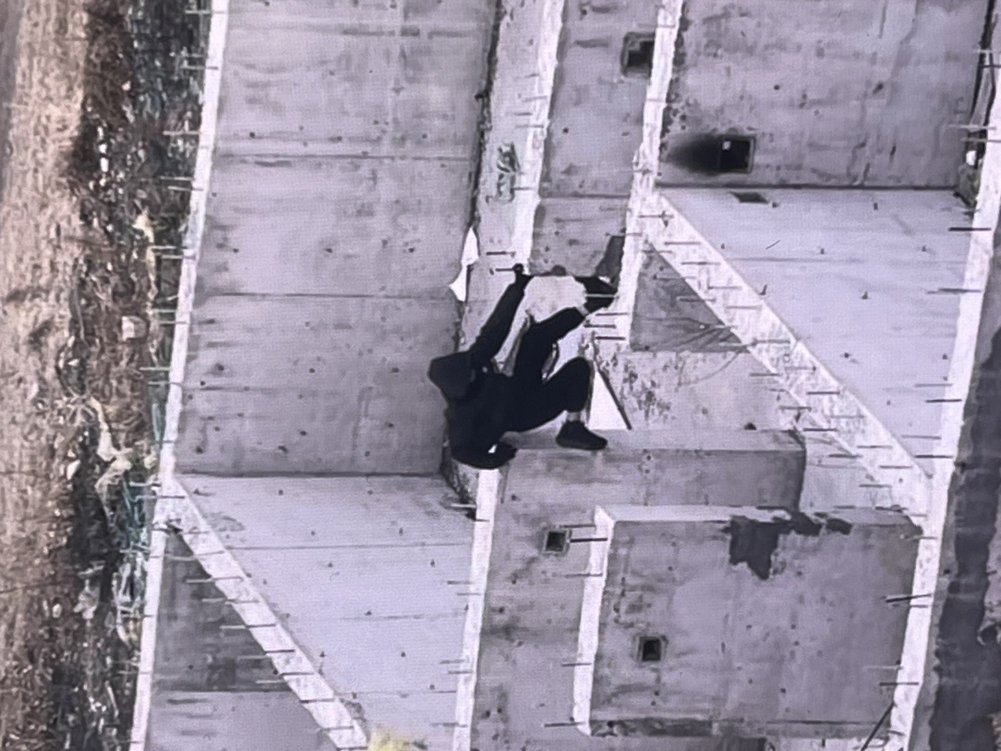 Tuxedo Cat Spotted Multiple Locations During Morning Hours