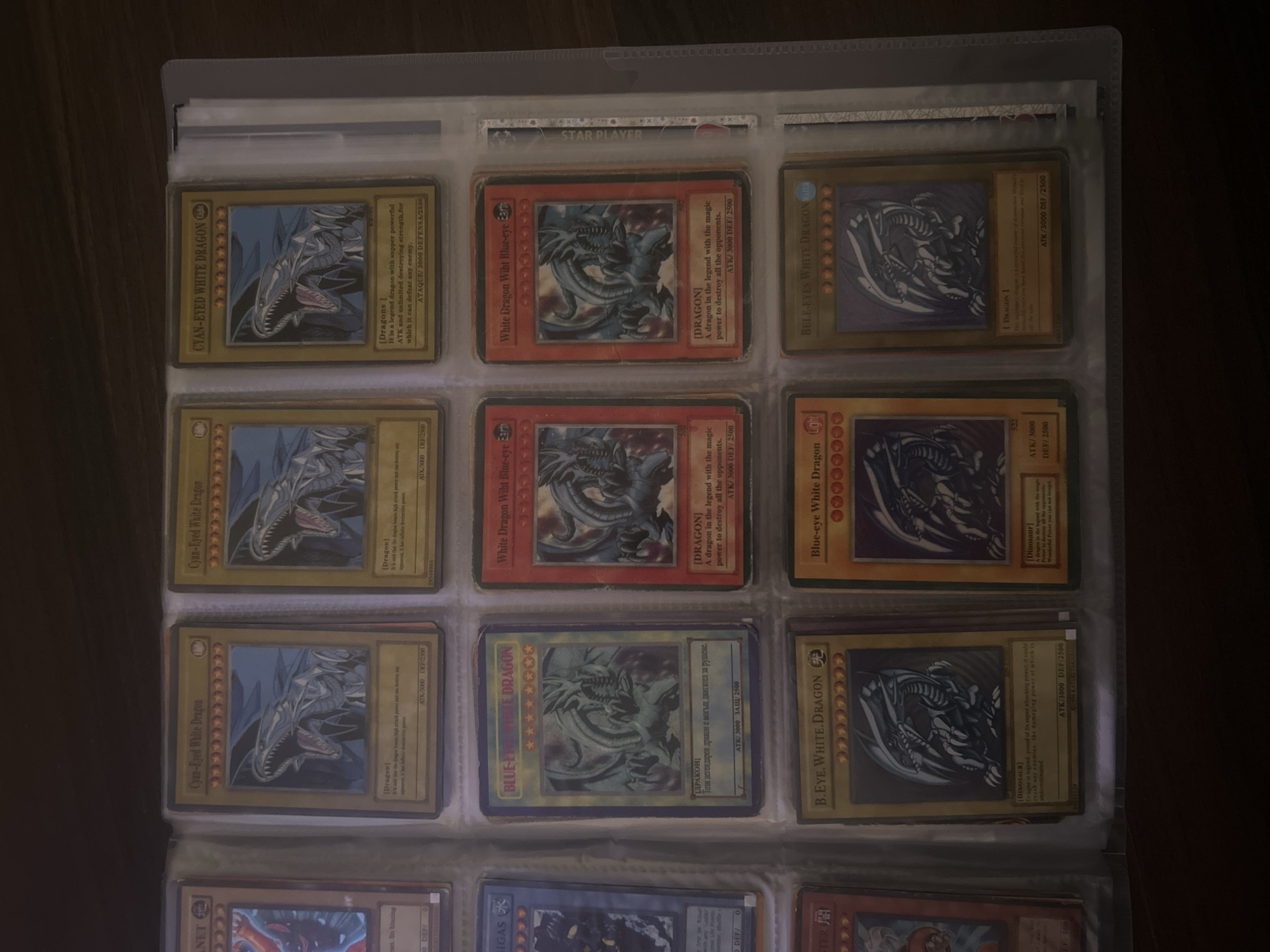 Trading card collector organizes Yu-Gi-Oh! deck in Pleven, Bulgaria