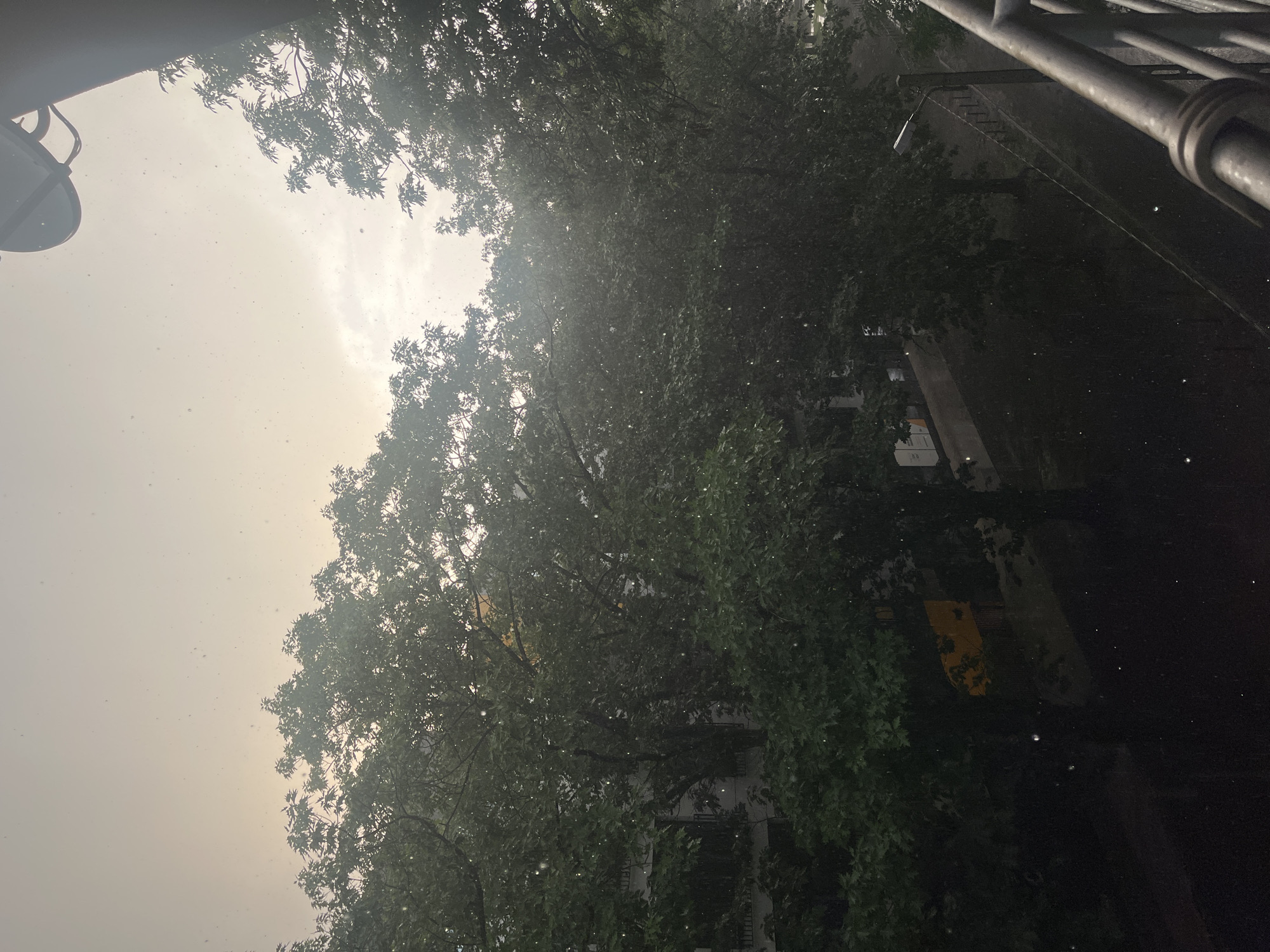 Rainy balcony views and a rabbit snacking indoors in Łódź