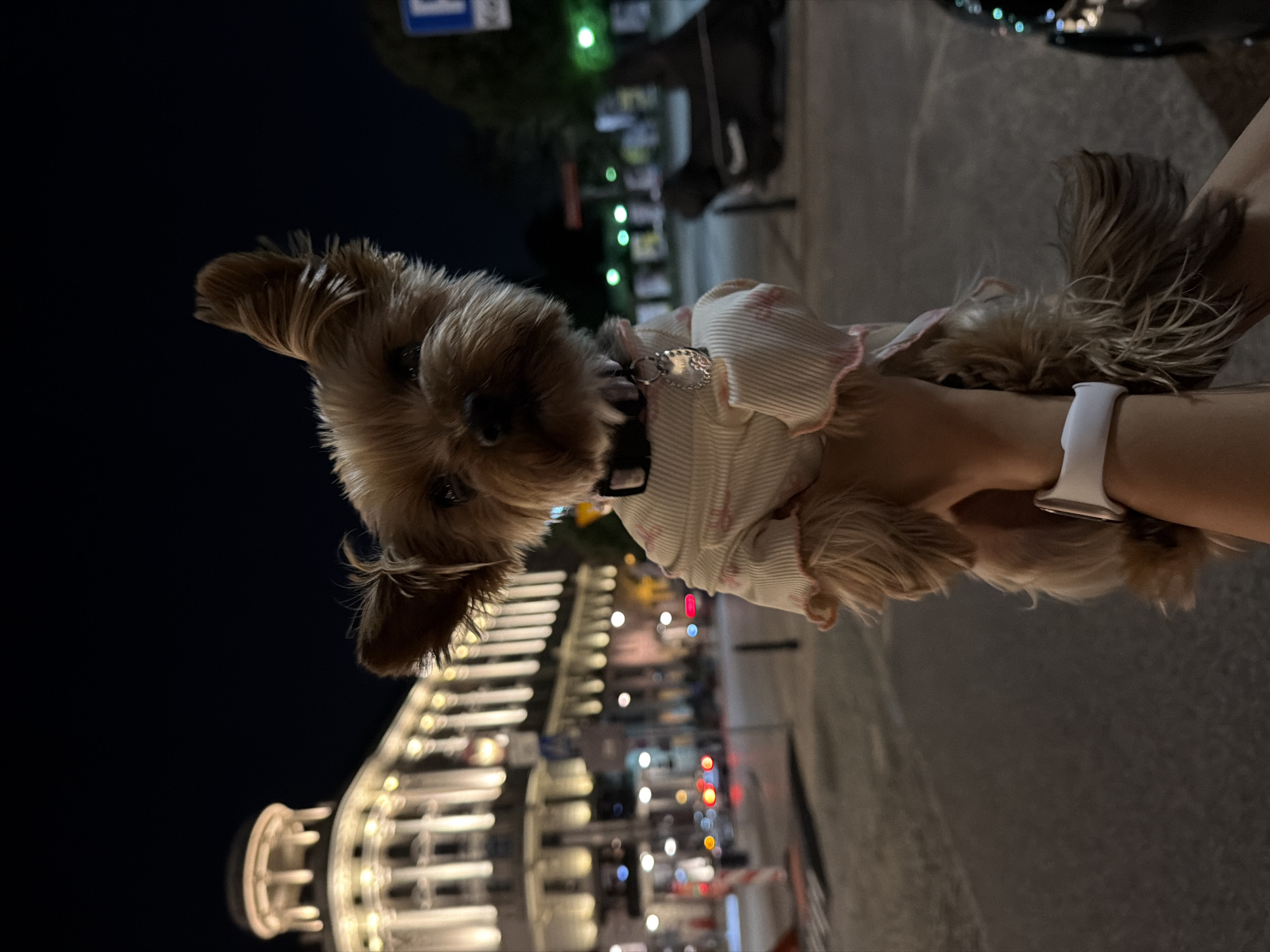 Late-night stroll through Warsaw's historic city center