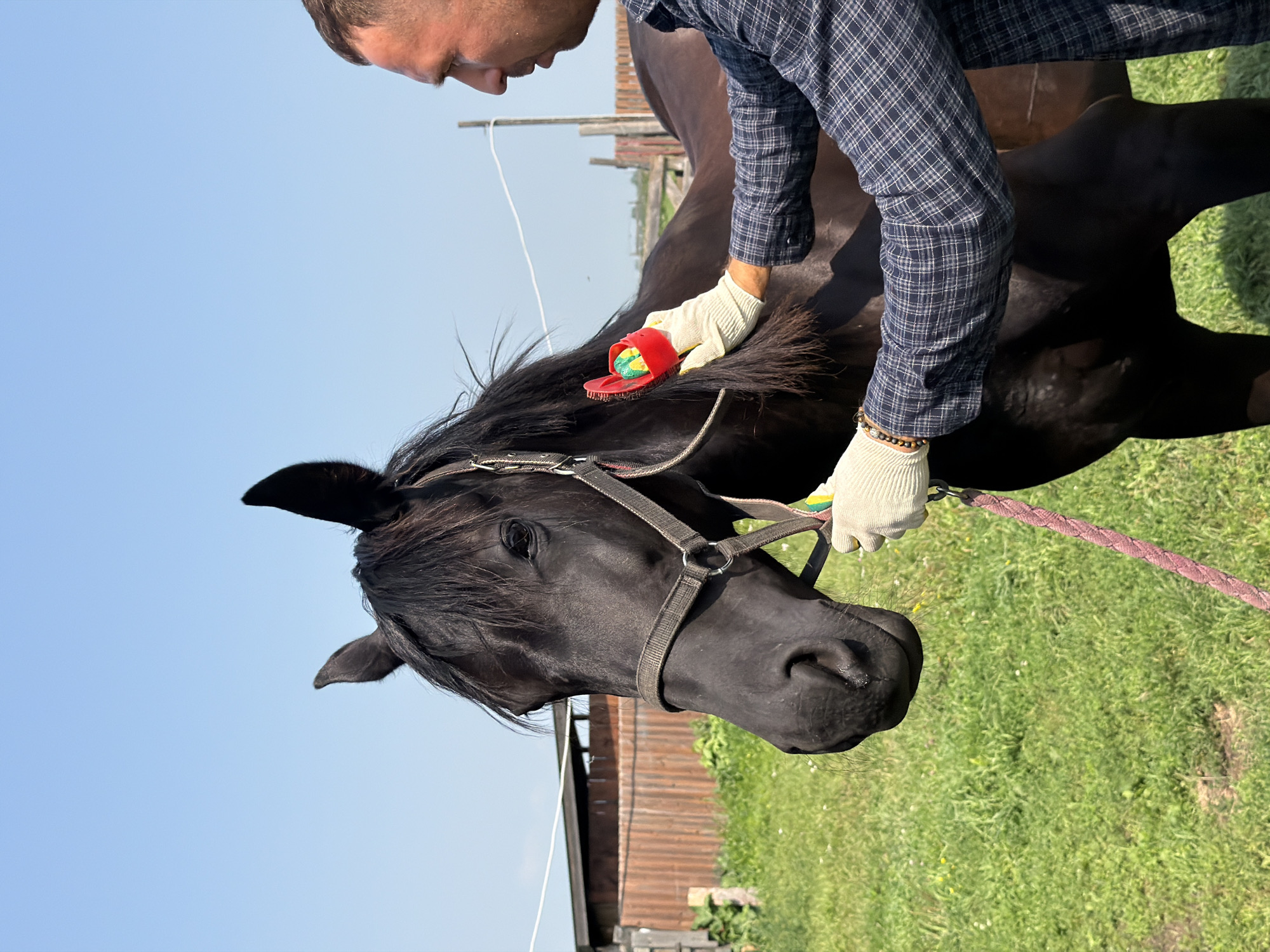 Casual horse handling and riding in rural Yesaulovo, Russia