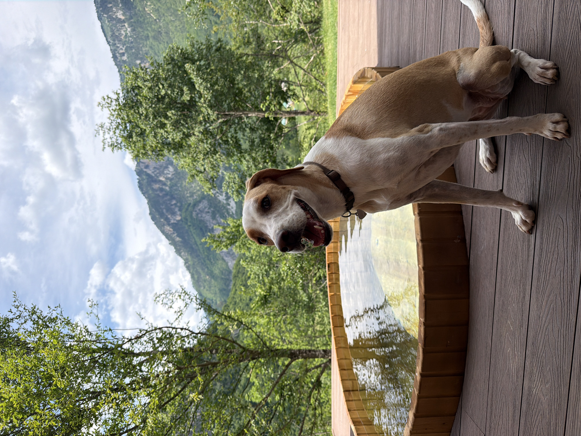Hot tub on a mountain deck in Montenegro, dog in tow