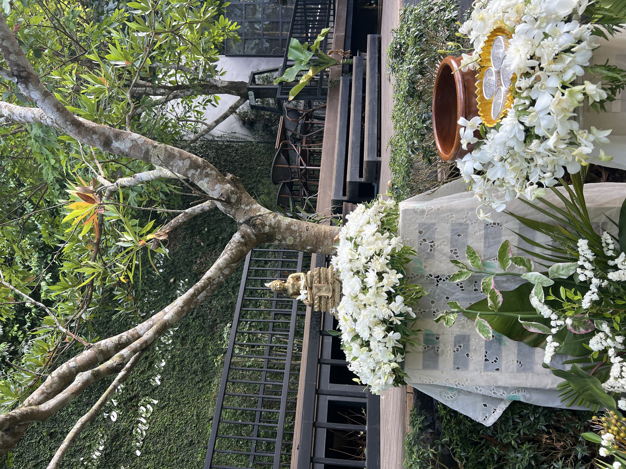 Tranquil garden and boardwalk scenes documented in Khao Thong
