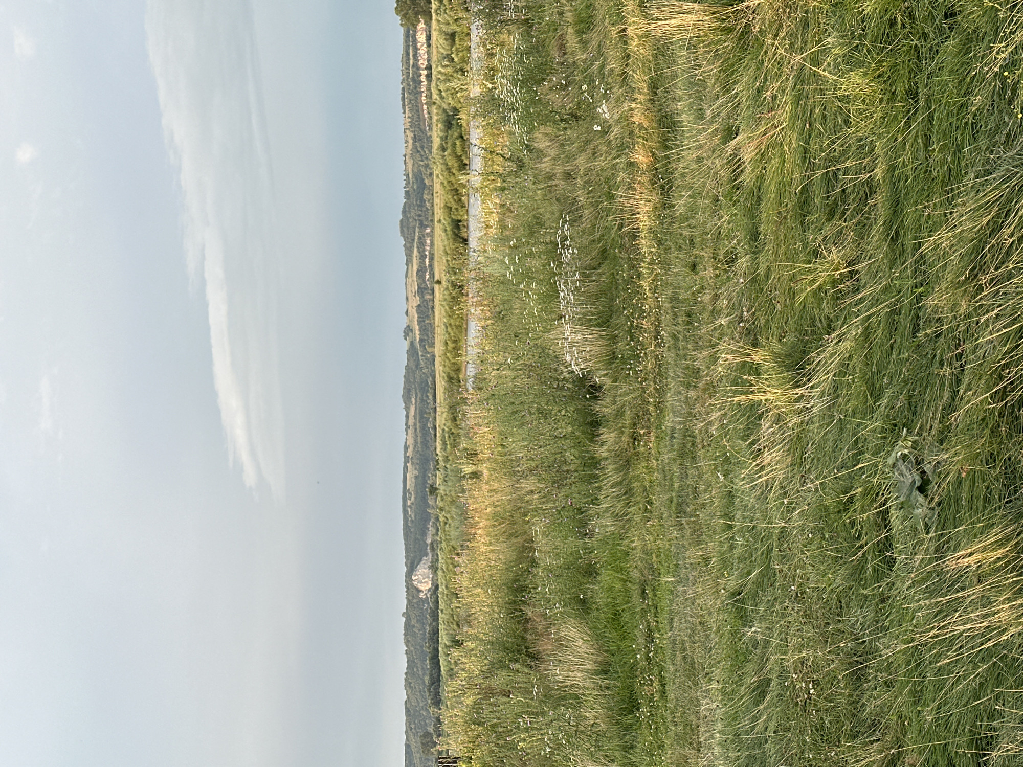 Muksinovo, Russia