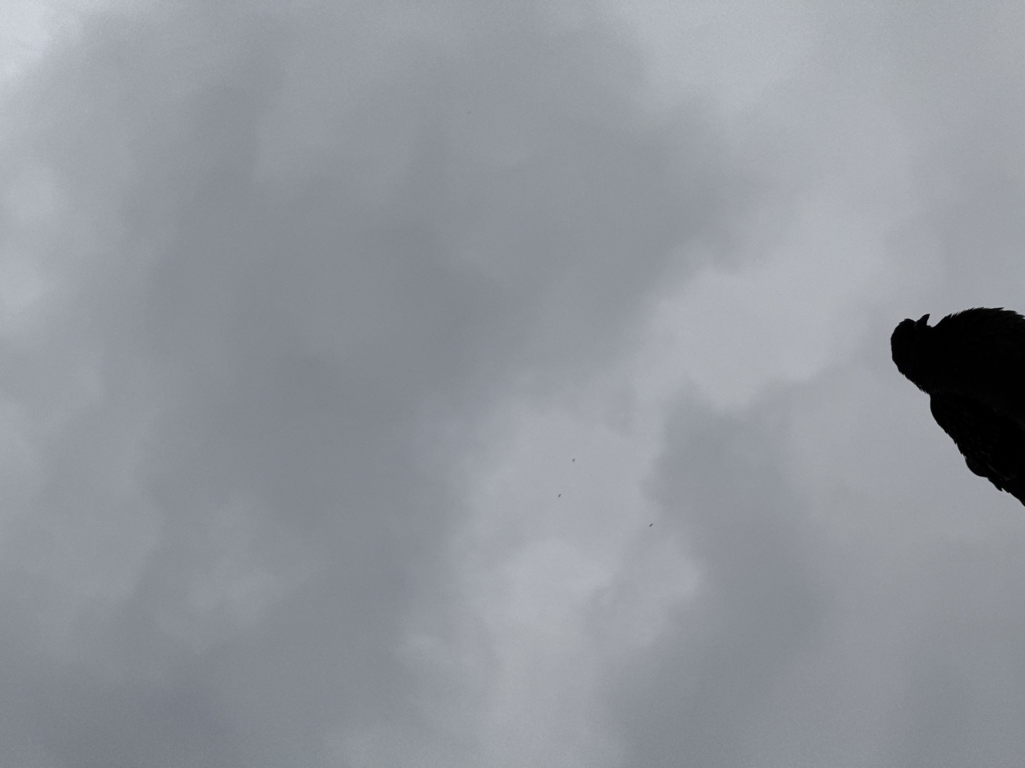 Man photographed jumping, posing on ledge in Shumen, Bulgaria