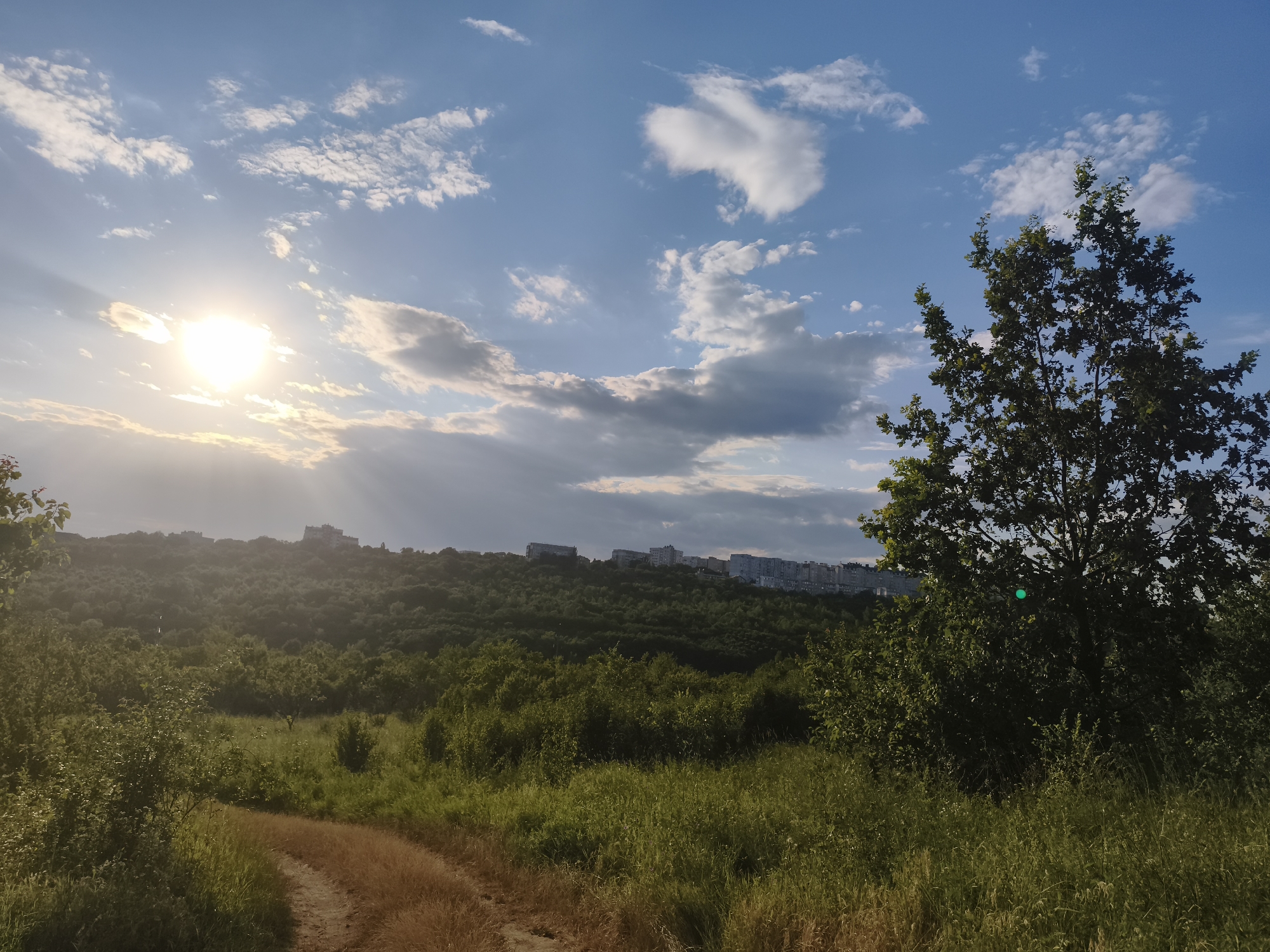 Summer stroll through Codru's fields and into Chișinău's edge