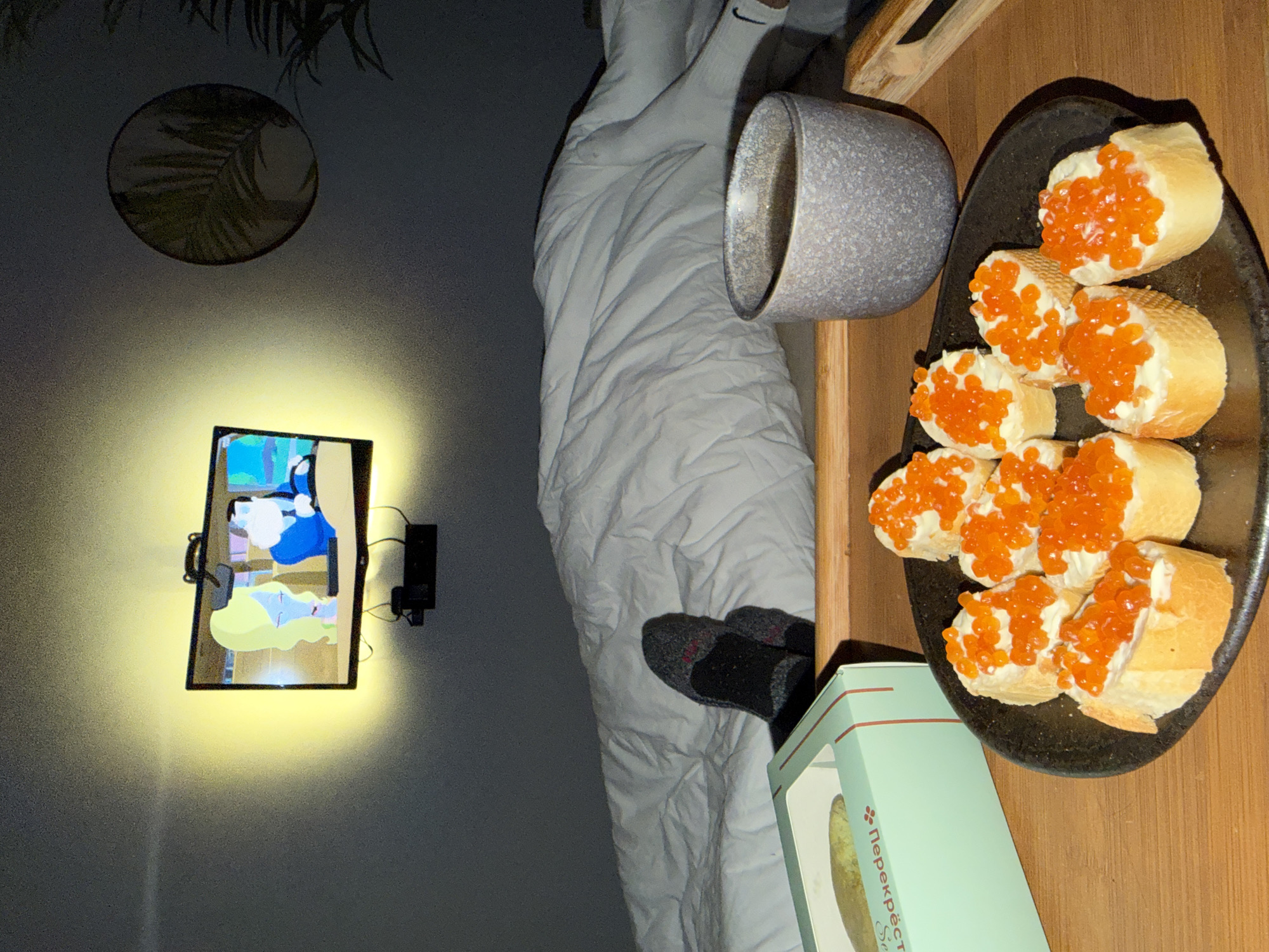 Domestic moments with pet parrot captured in Khimki