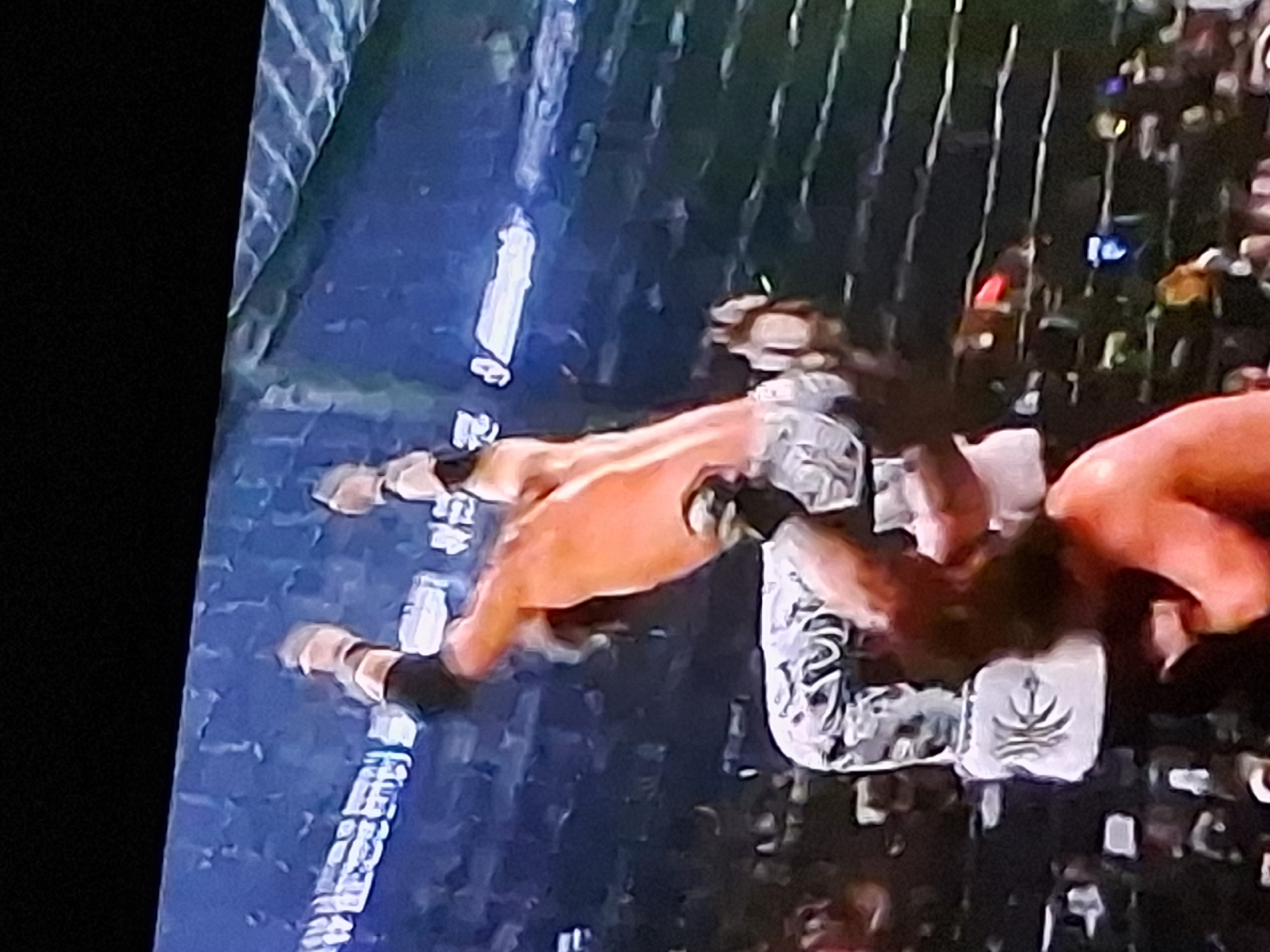 Wrestling match observed in steel cage setting
