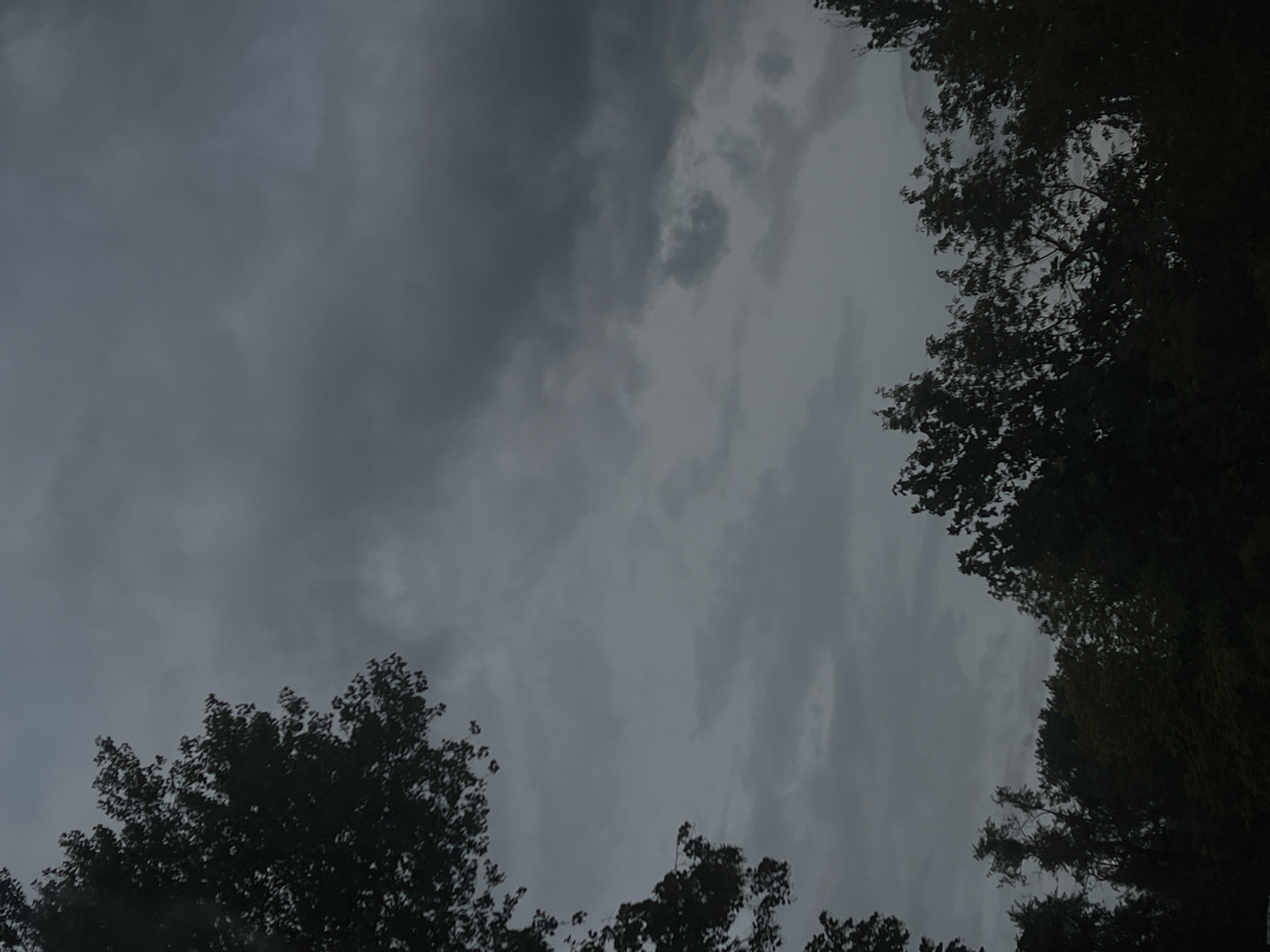 Storm clouds gather over a Warsaw park on a grey morning.