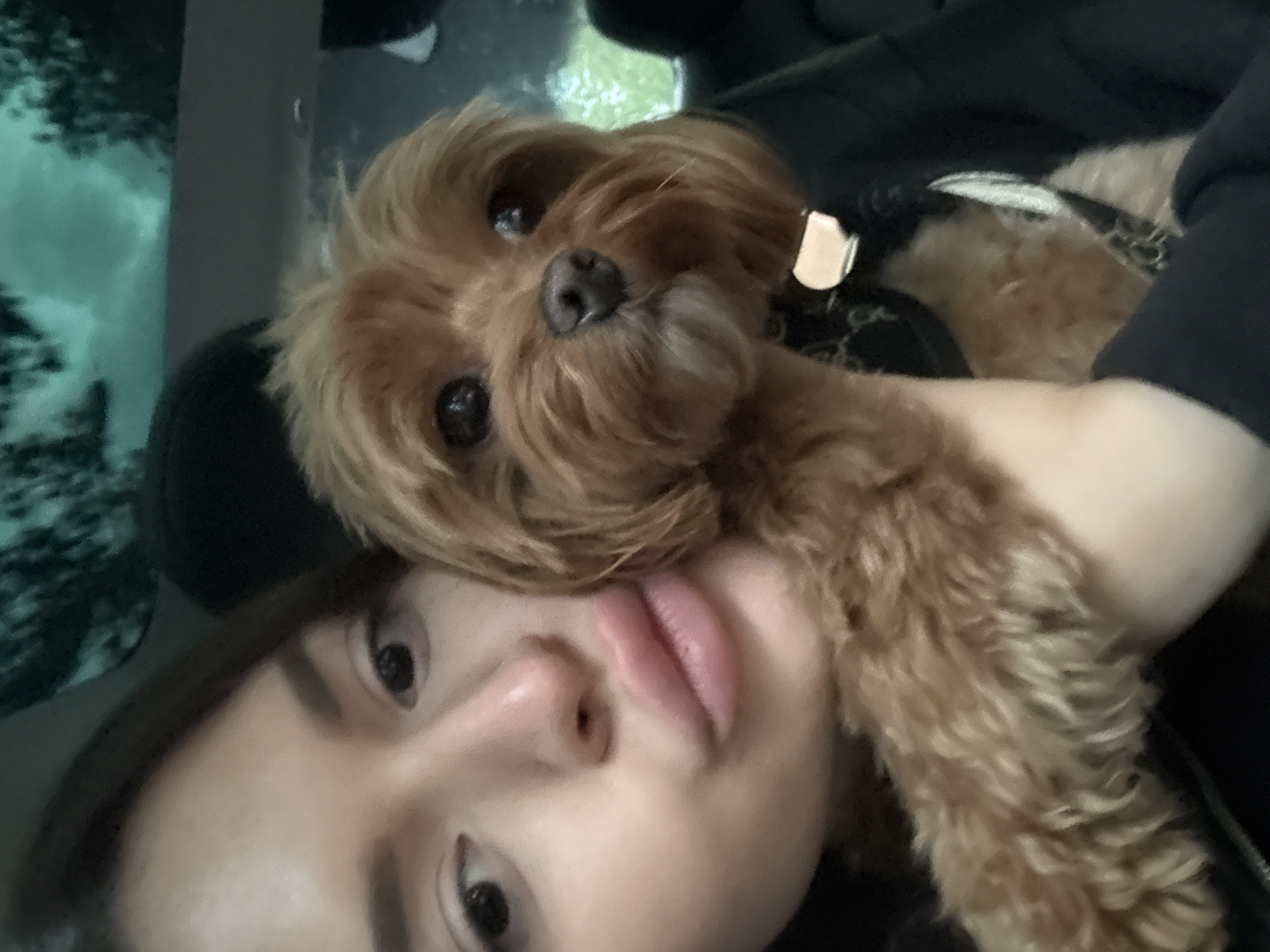 Fluffy dog rides shotgun through Prague in a Tesla