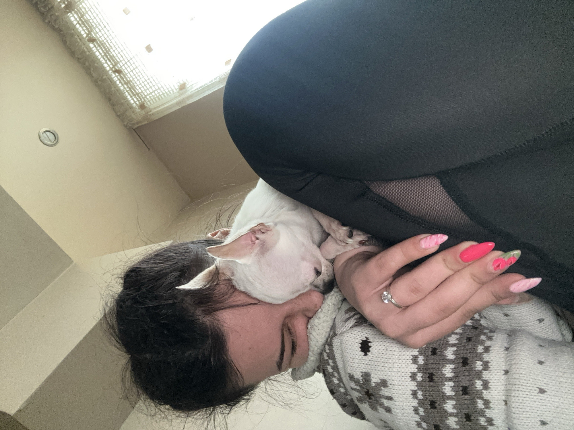 Woman shares tender moments with white Chihuahua in Bulgaria