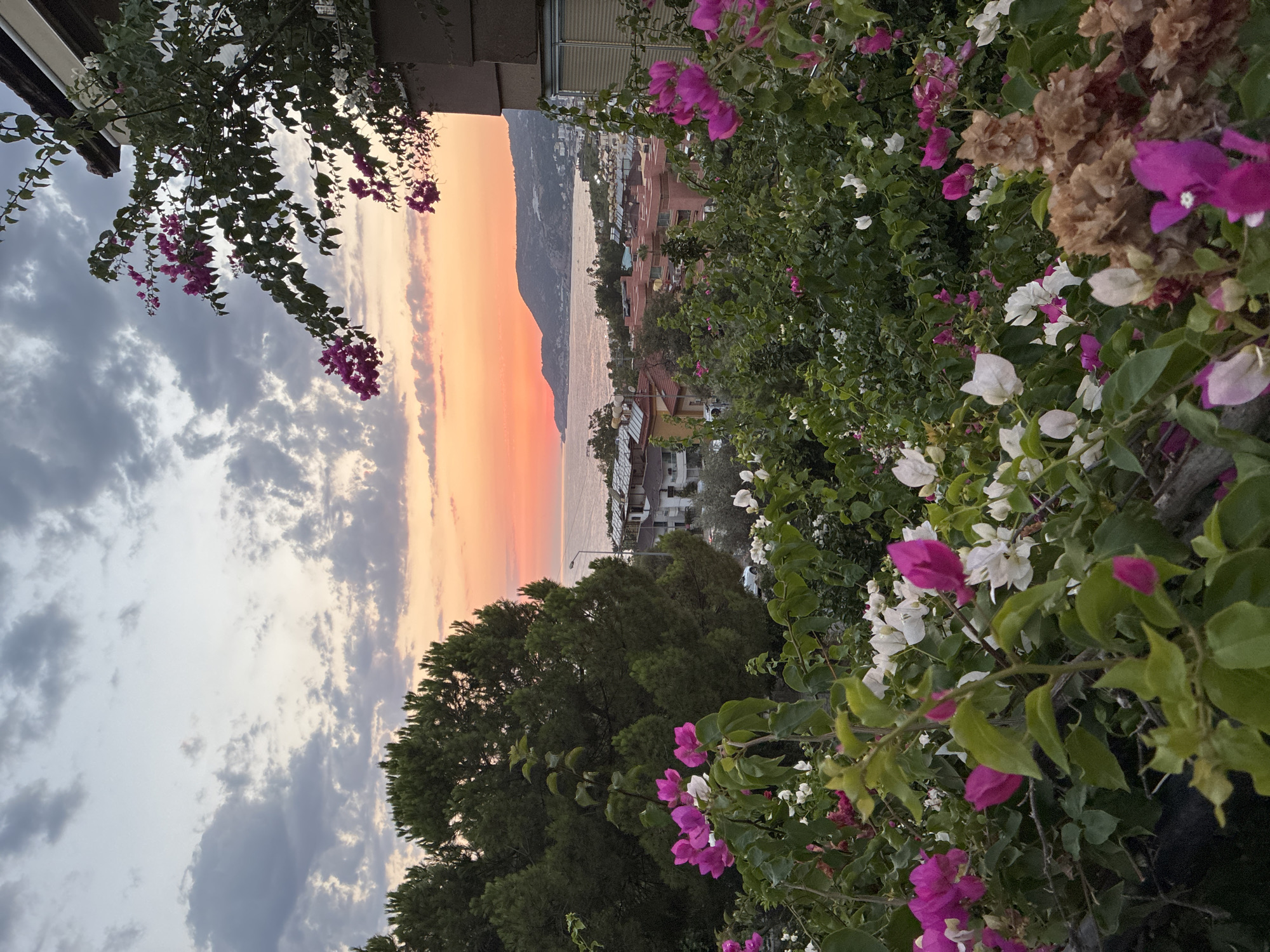 Alanya coastline at golden hour, framed by bougainvillea