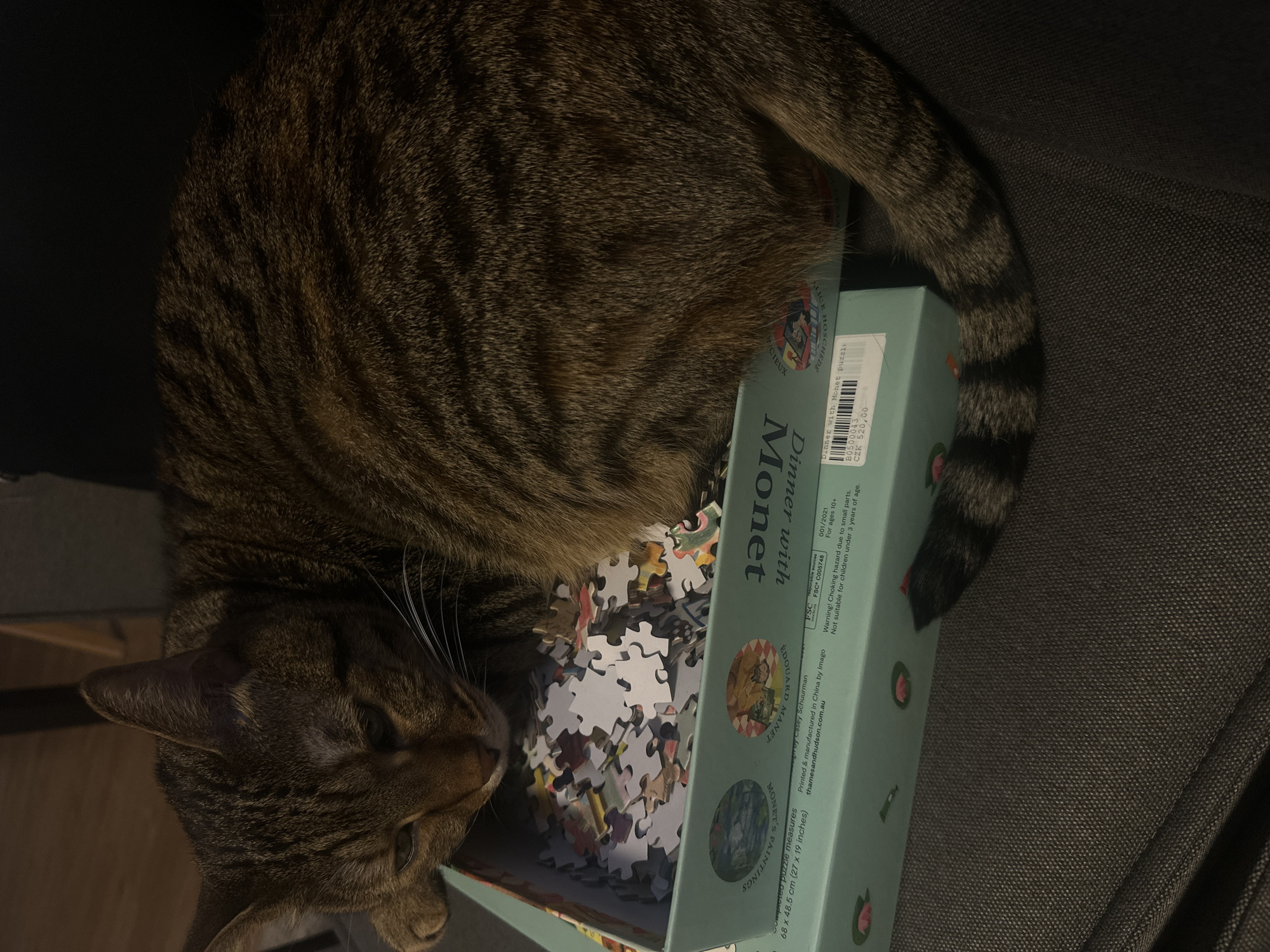 Cat Claims Monet Jigsaw Puzzle as Nap Spot