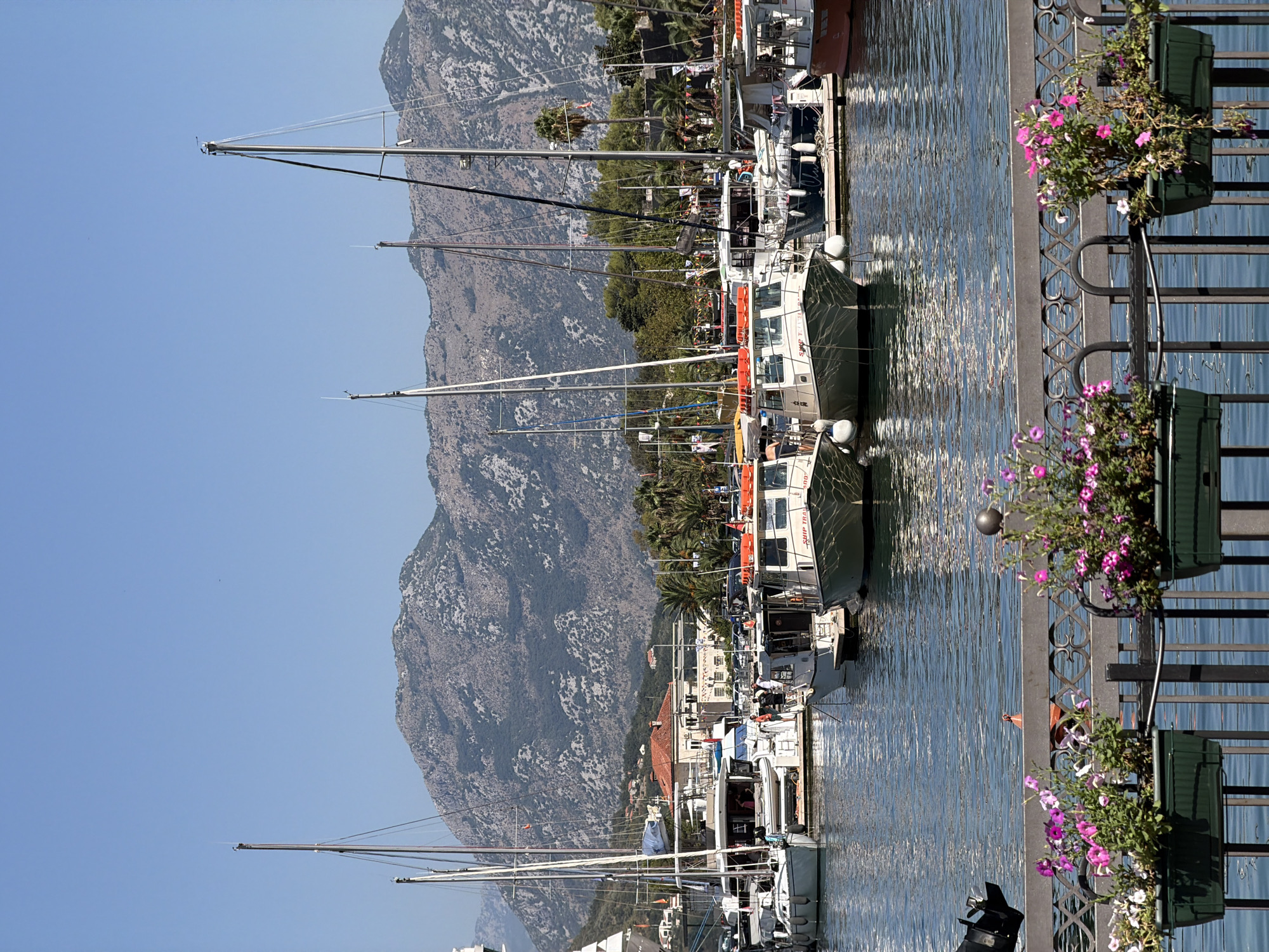 Kotor's harbor and Old Town on a busy summer morning