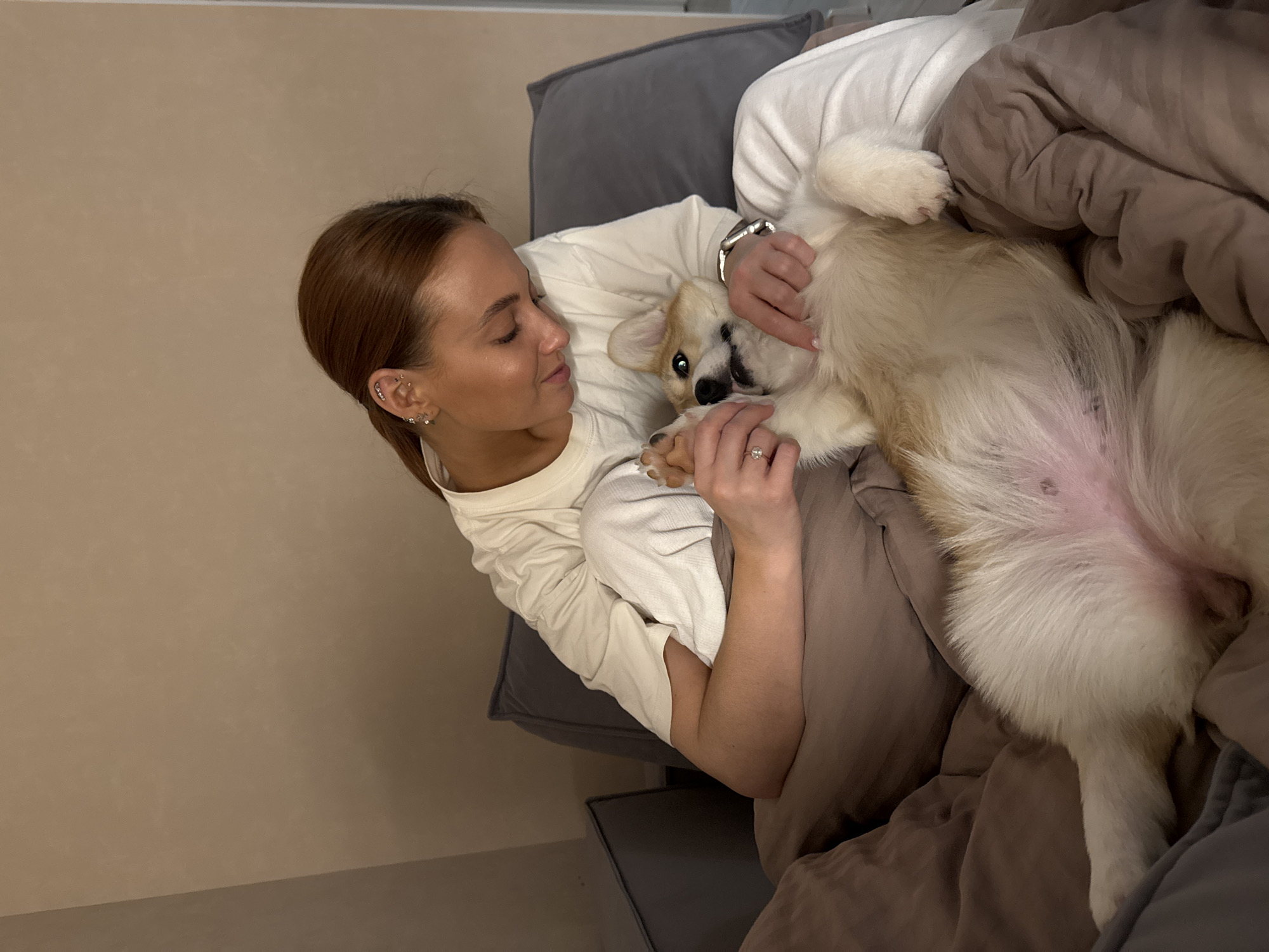 Corgi dog captured in playful indoor moments in Chaikovsky